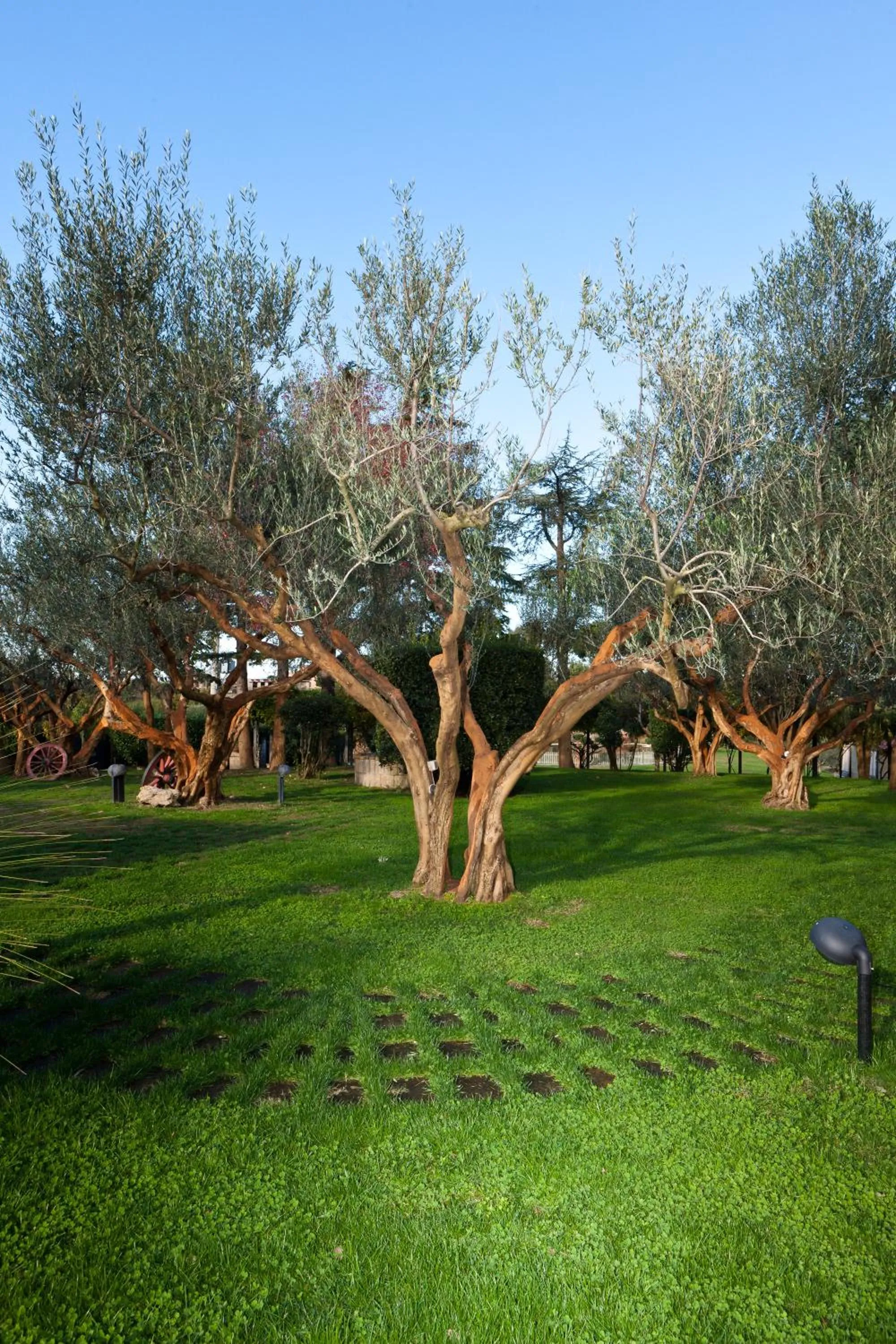 Garden in Aquilamaior