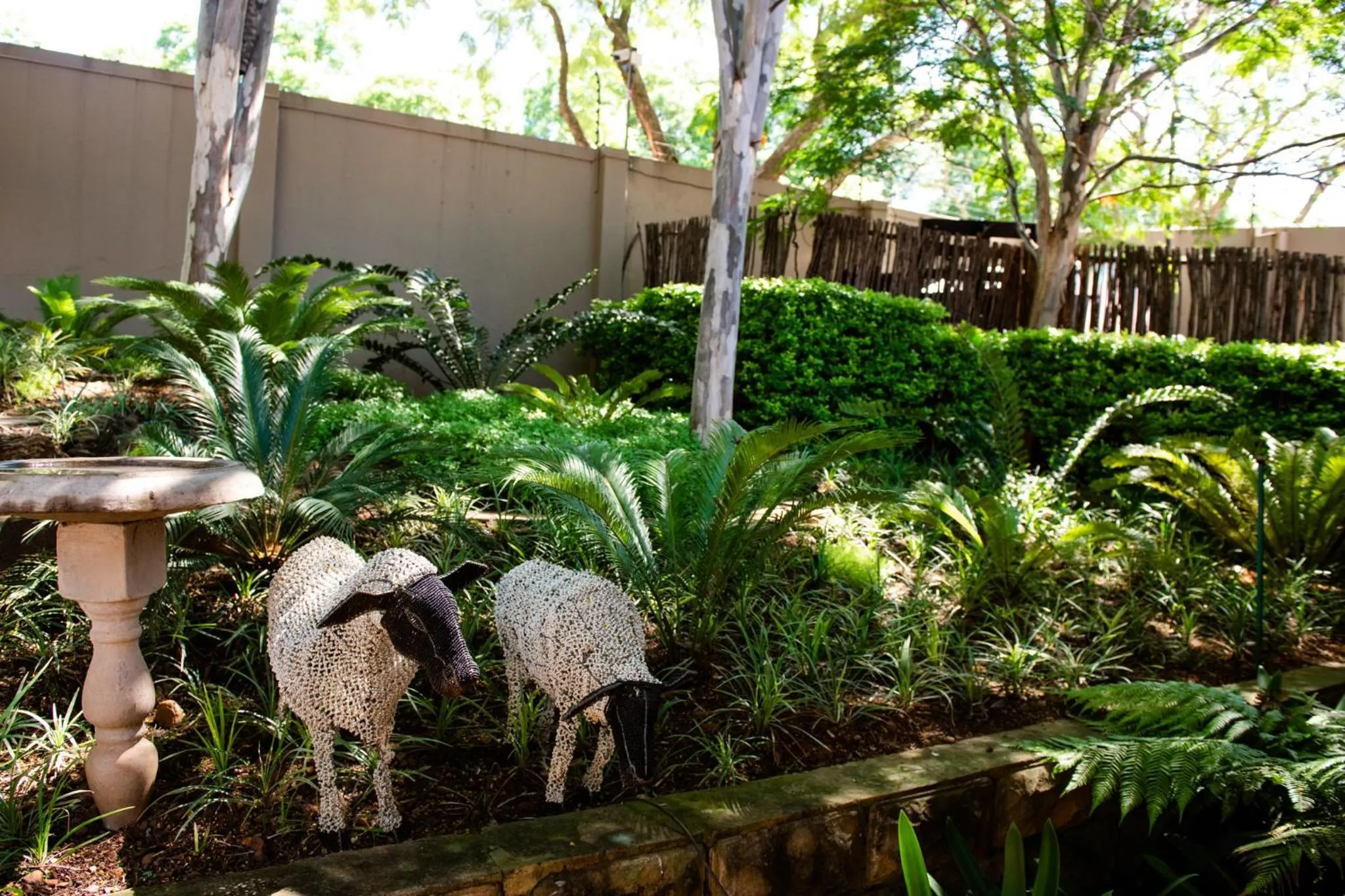 Garden in 37 on Charles