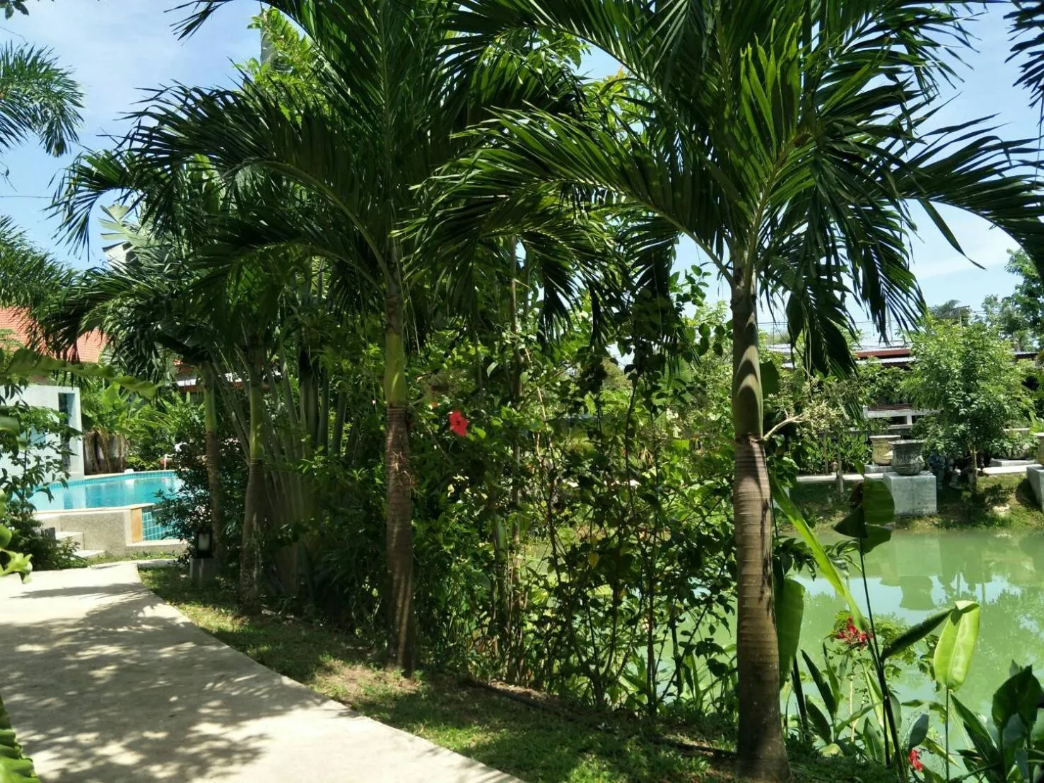 Garden in Arthaya Villas - SHA Extra Plus