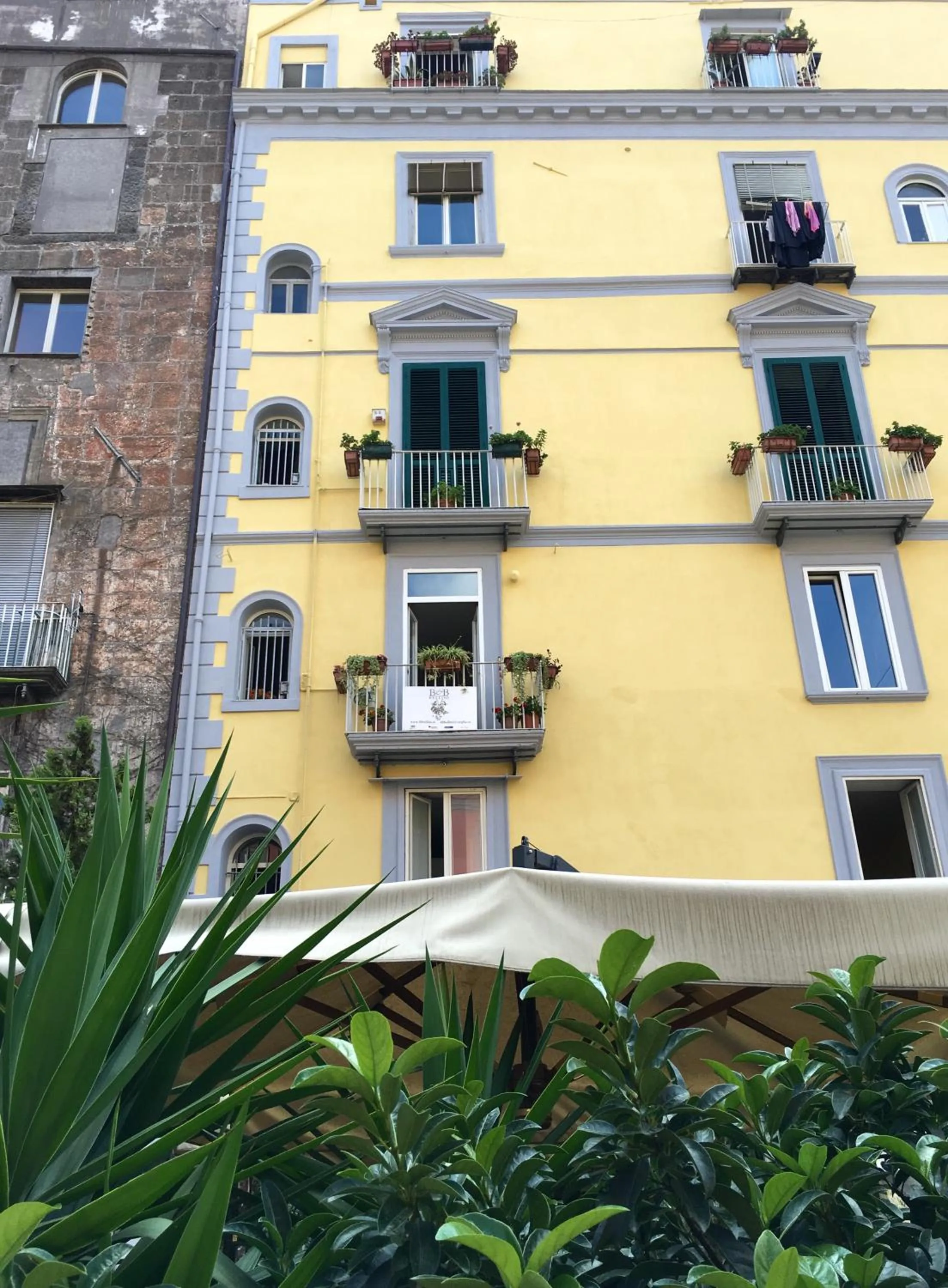 Property logo or sign in B&B Bellini