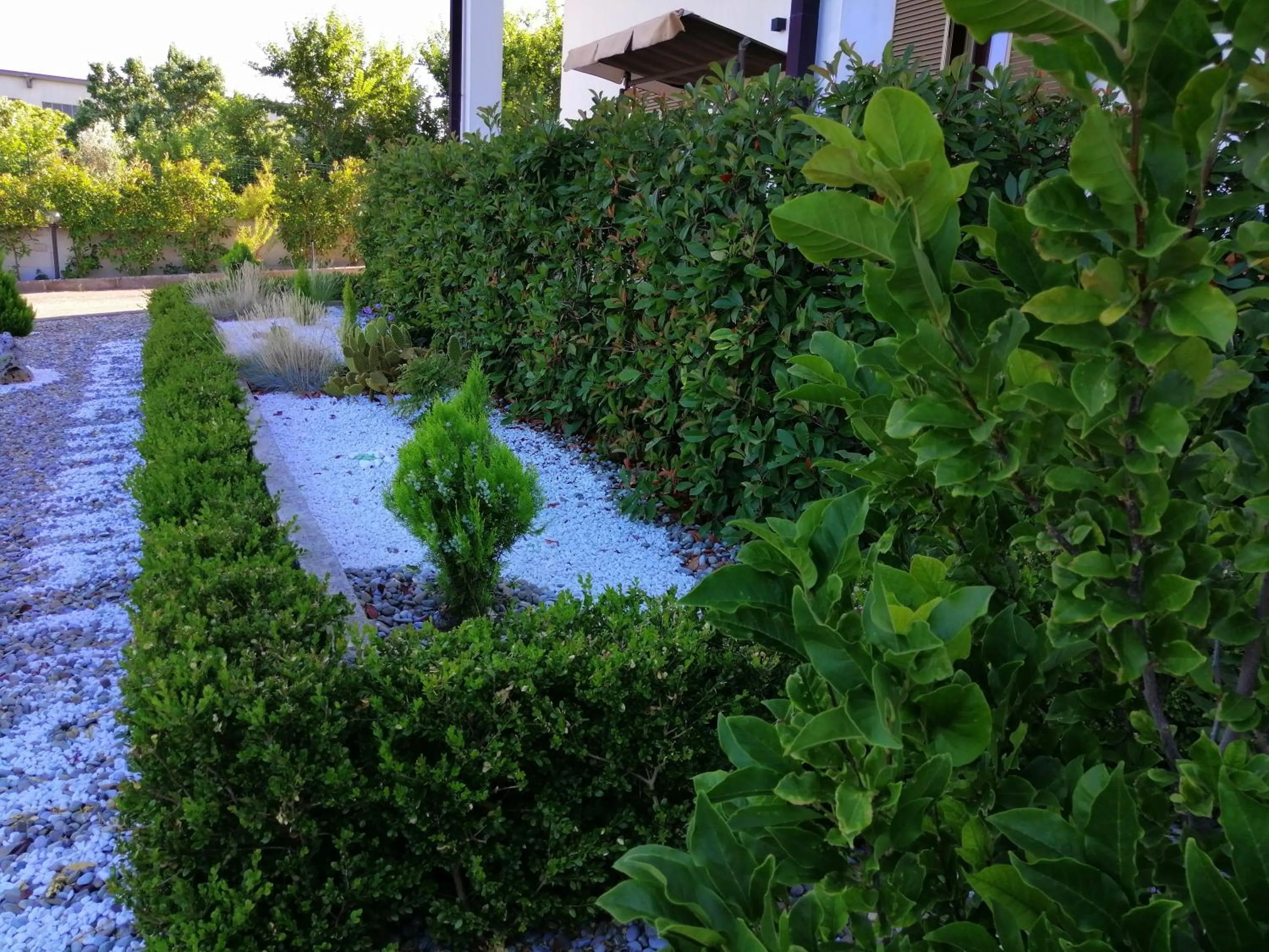 Garden in Mamma Puglia Suite & Breakfast