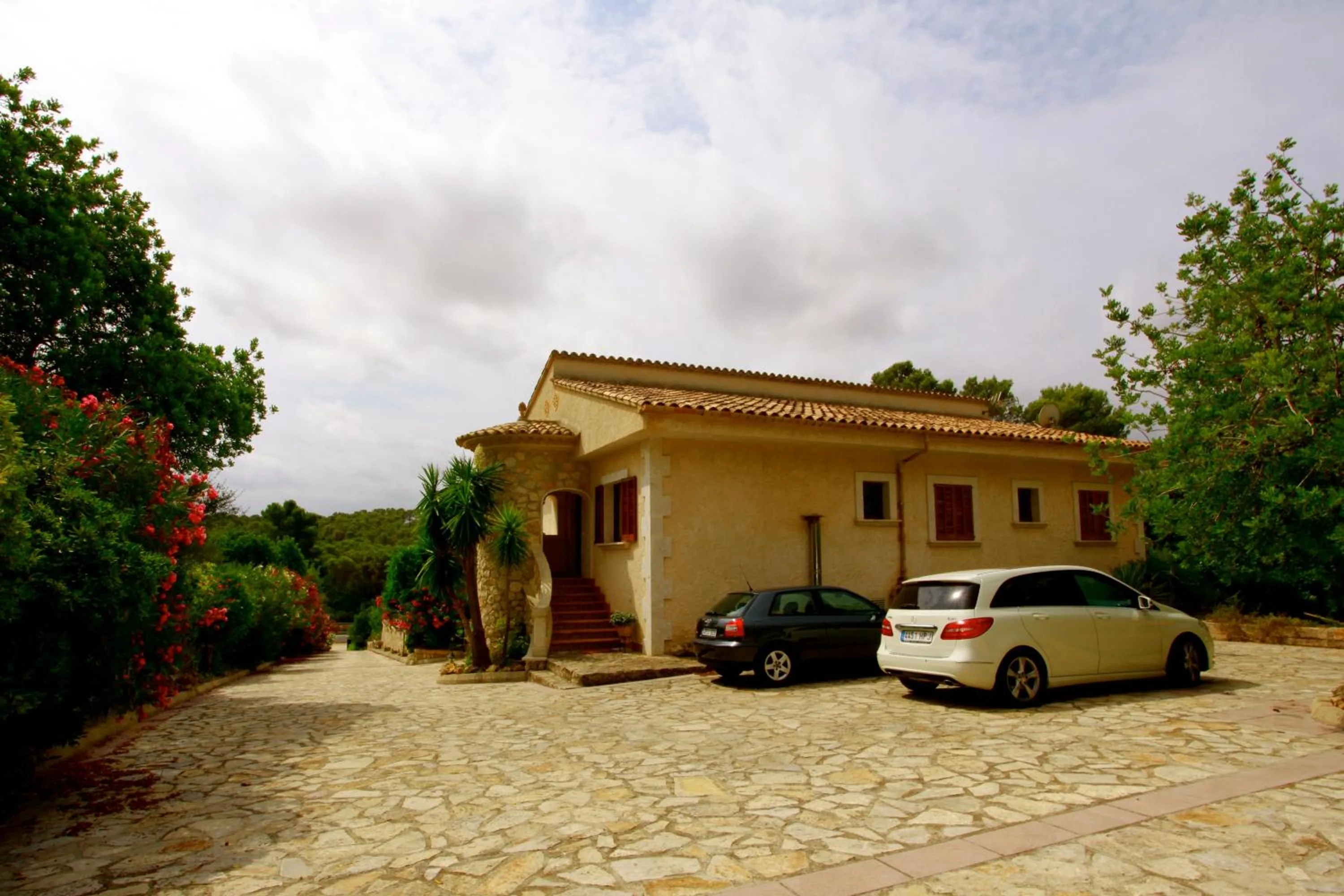 Other in Son Jan Nou