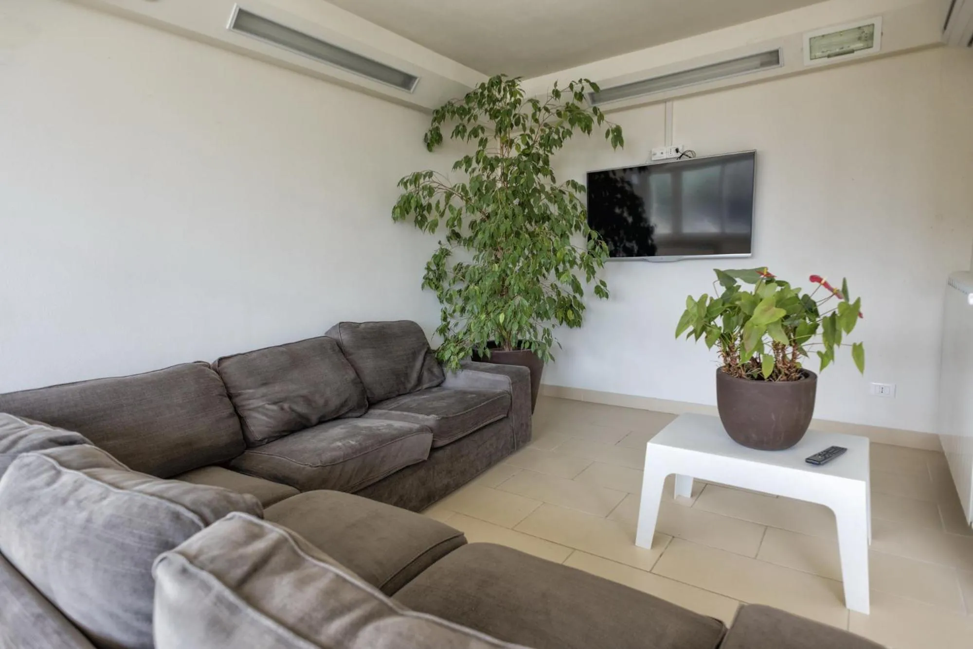 Communal lounge/ TV room in Eliopoli Beach Hostel & Restaurant