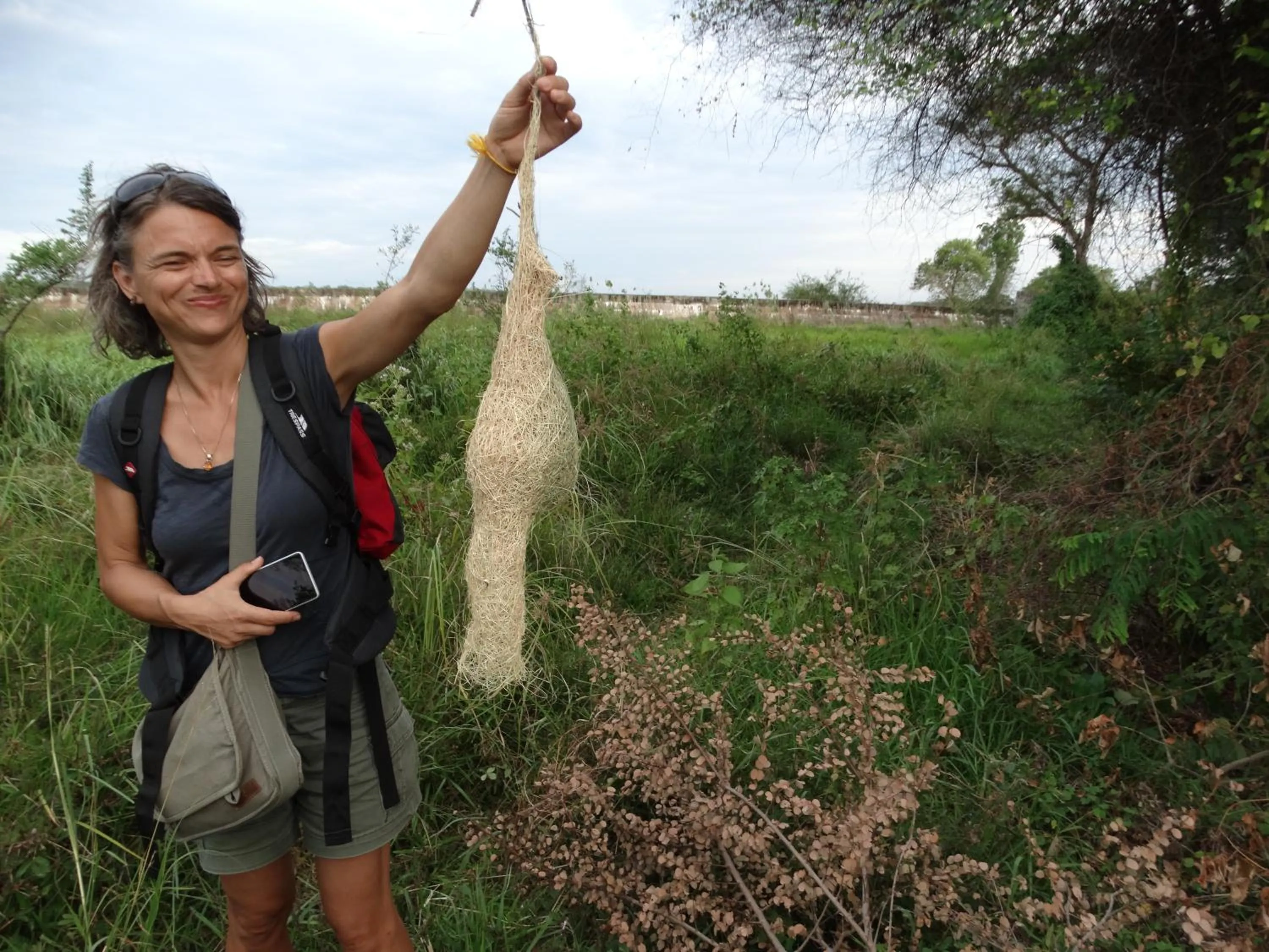Natural landscape in Thirumalai Park