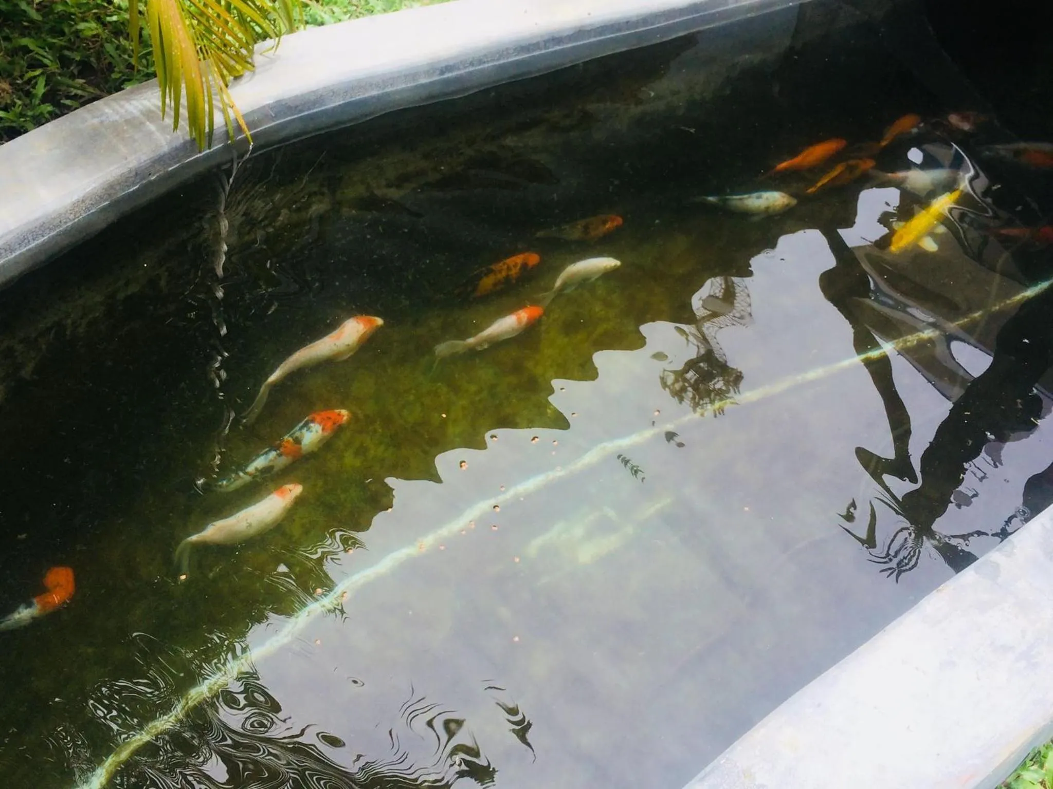 Other in Thirumalai Park