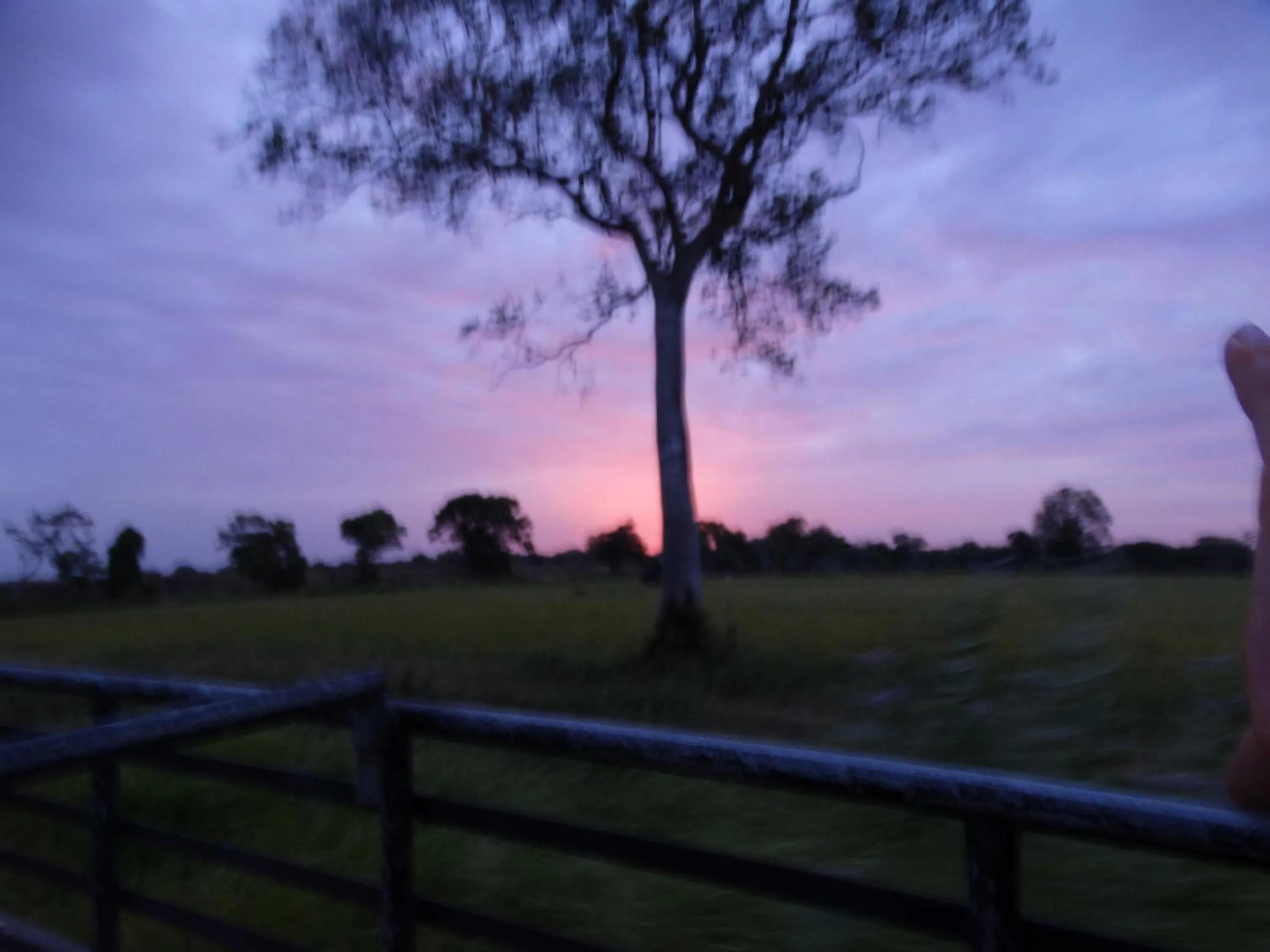 Natural landscape in Thirumalai Park