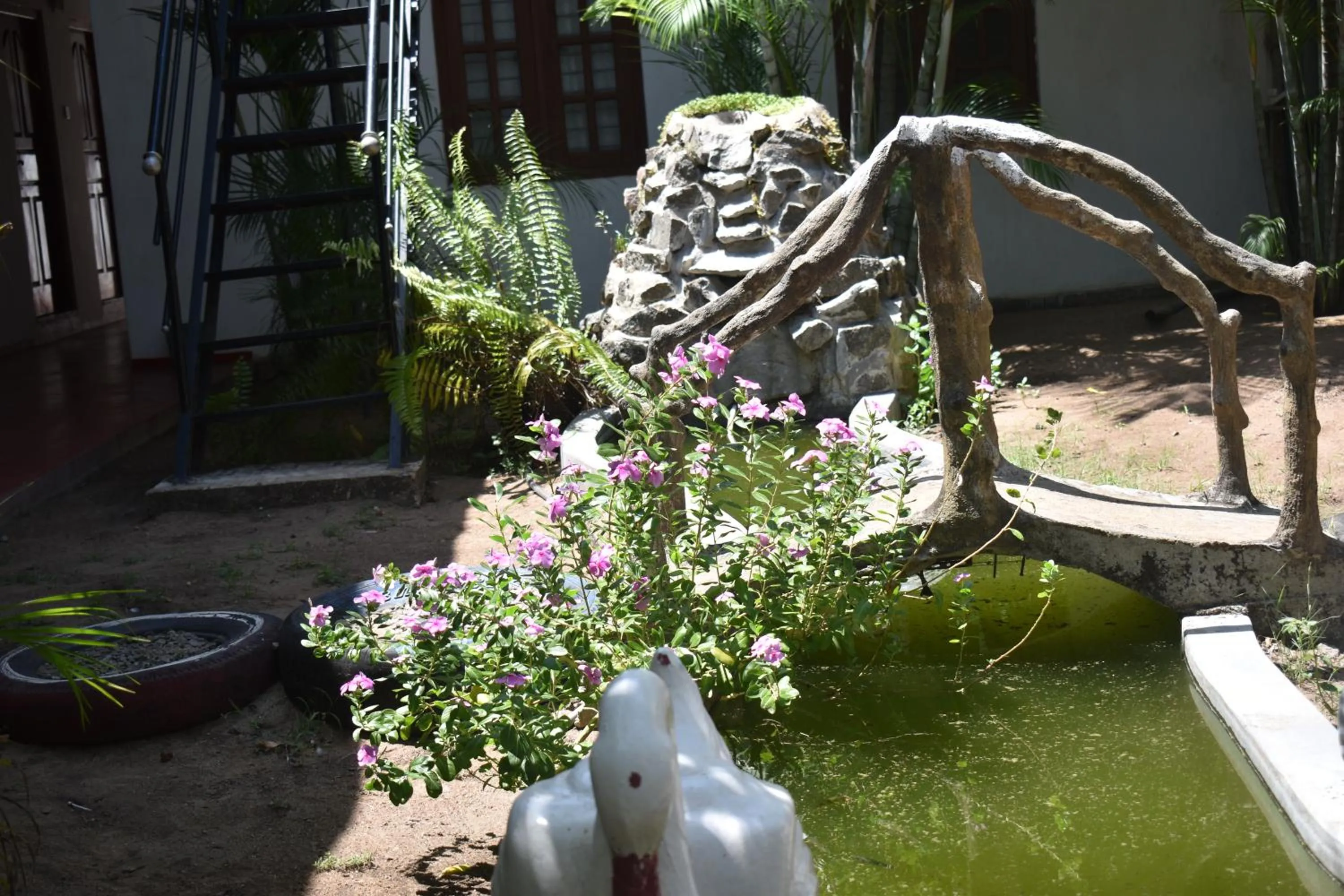 Garden in Thirumalai Park