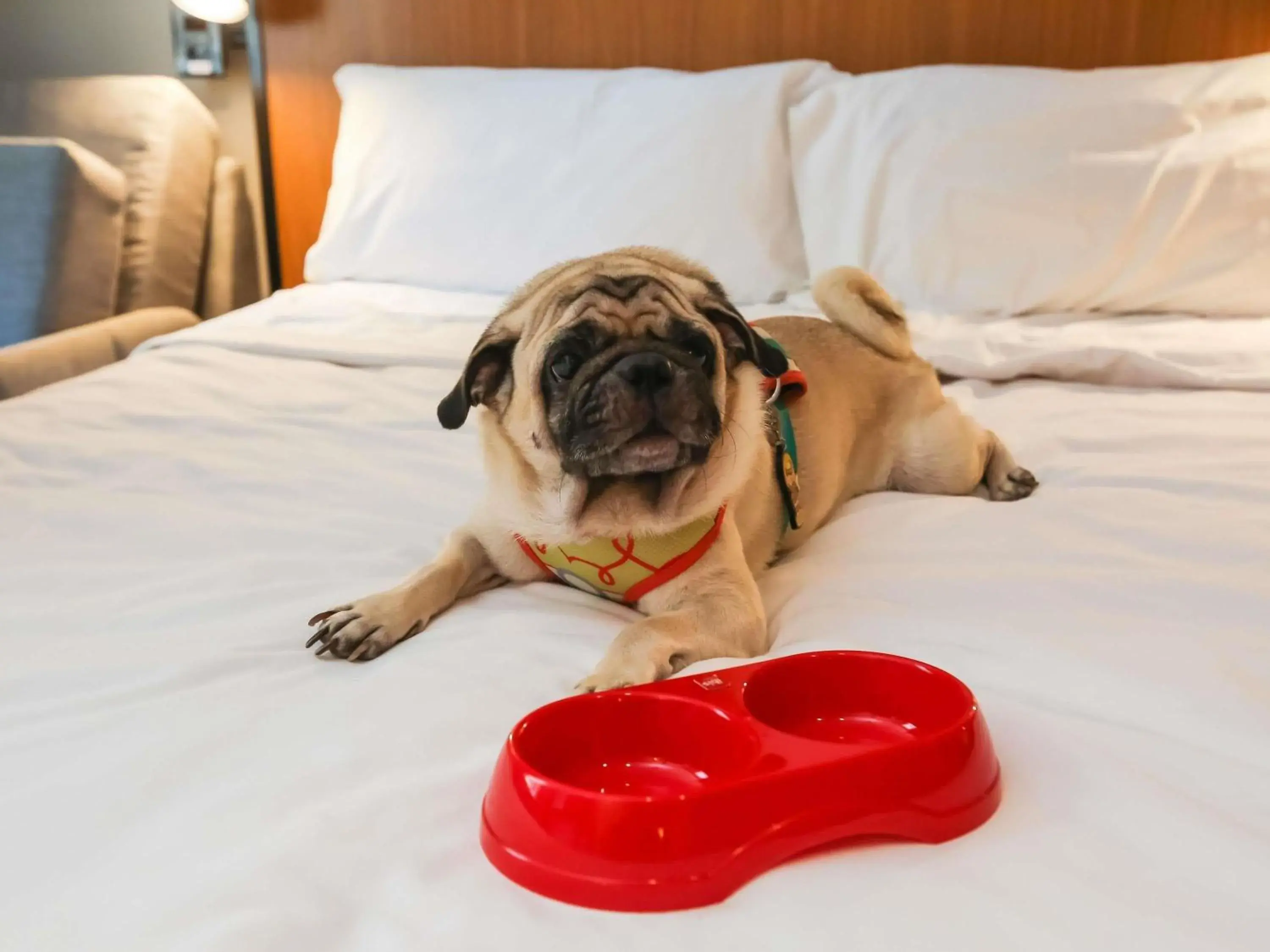 Property building, Bed in ibis Copacabana Posto 2 Property building, Bed in ibis Copacabana Posto 2