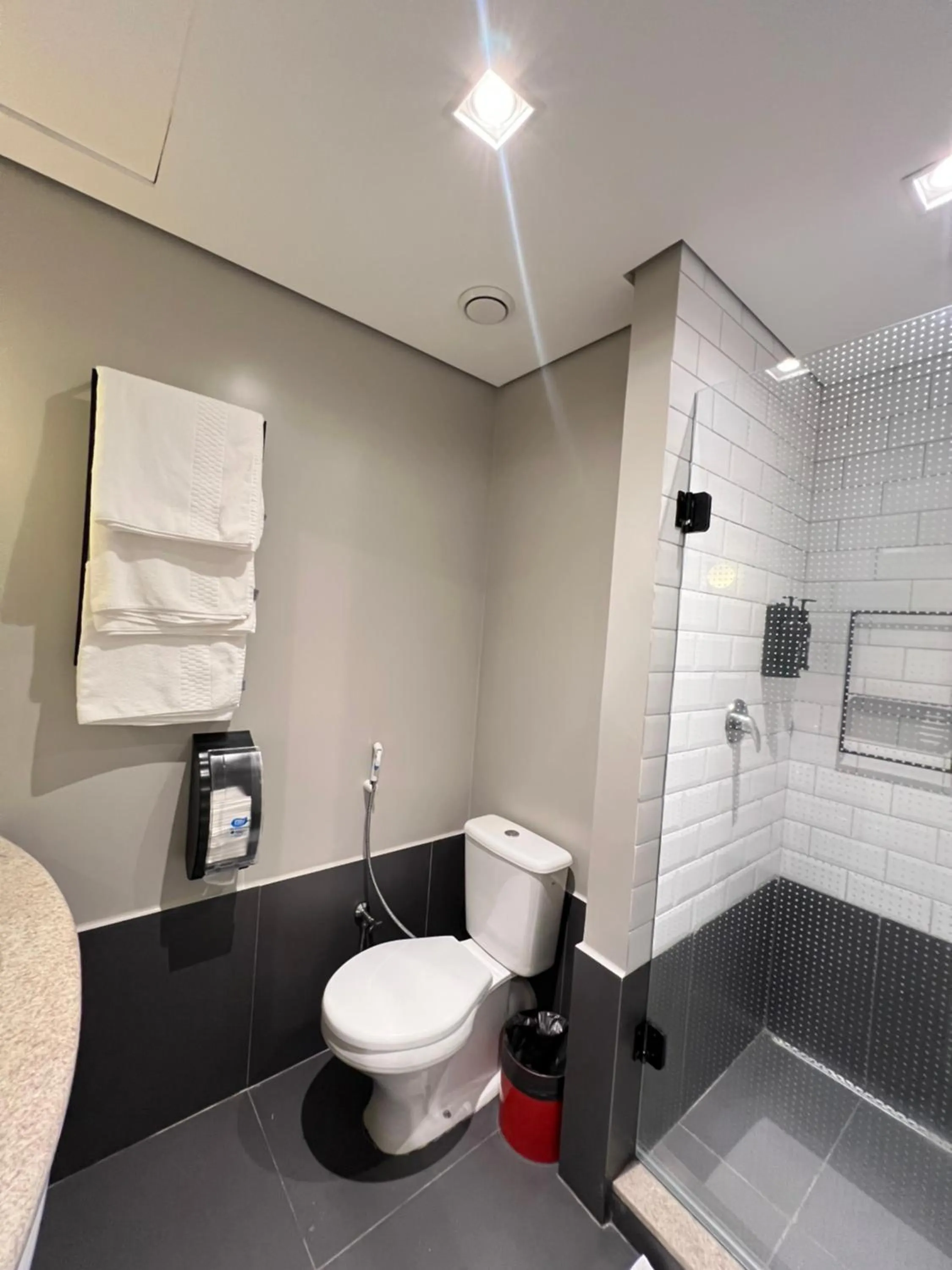 Bathroom in Ibis Foz do Iguaçu