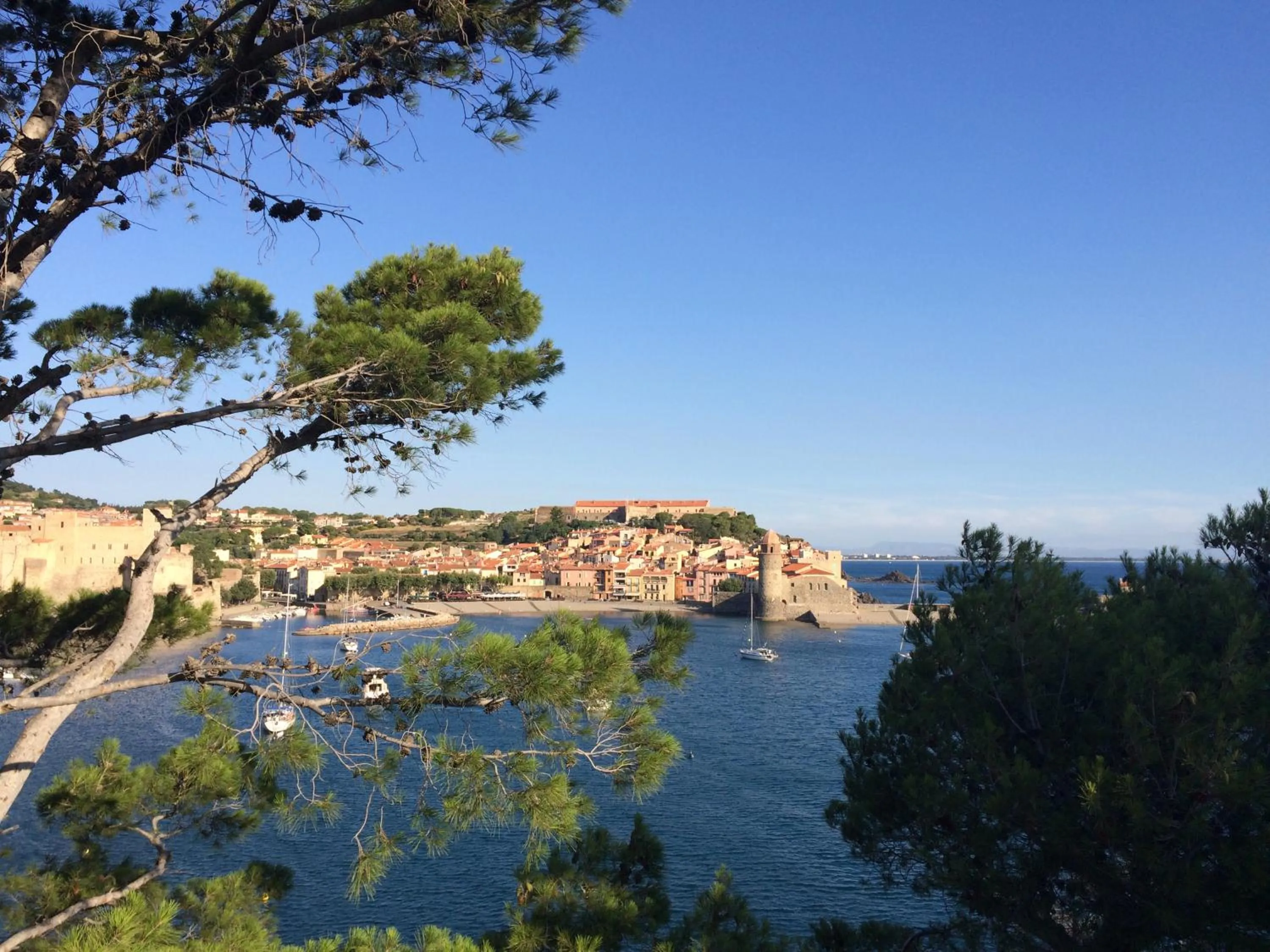 Nearby landmark in Ibis Styles Collioure Port Vendres