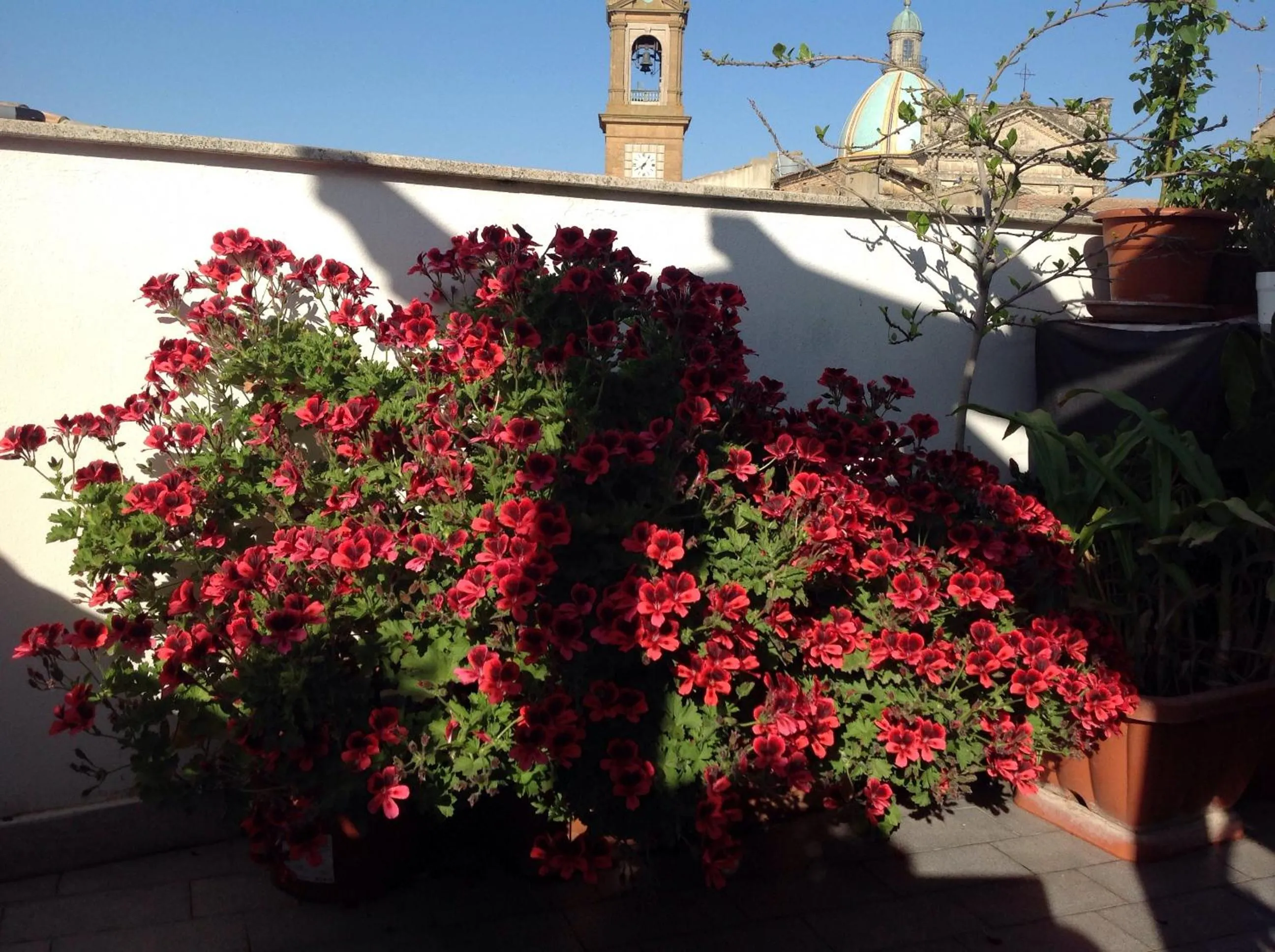 Balcony/Terrace in Il Piccolo Attico