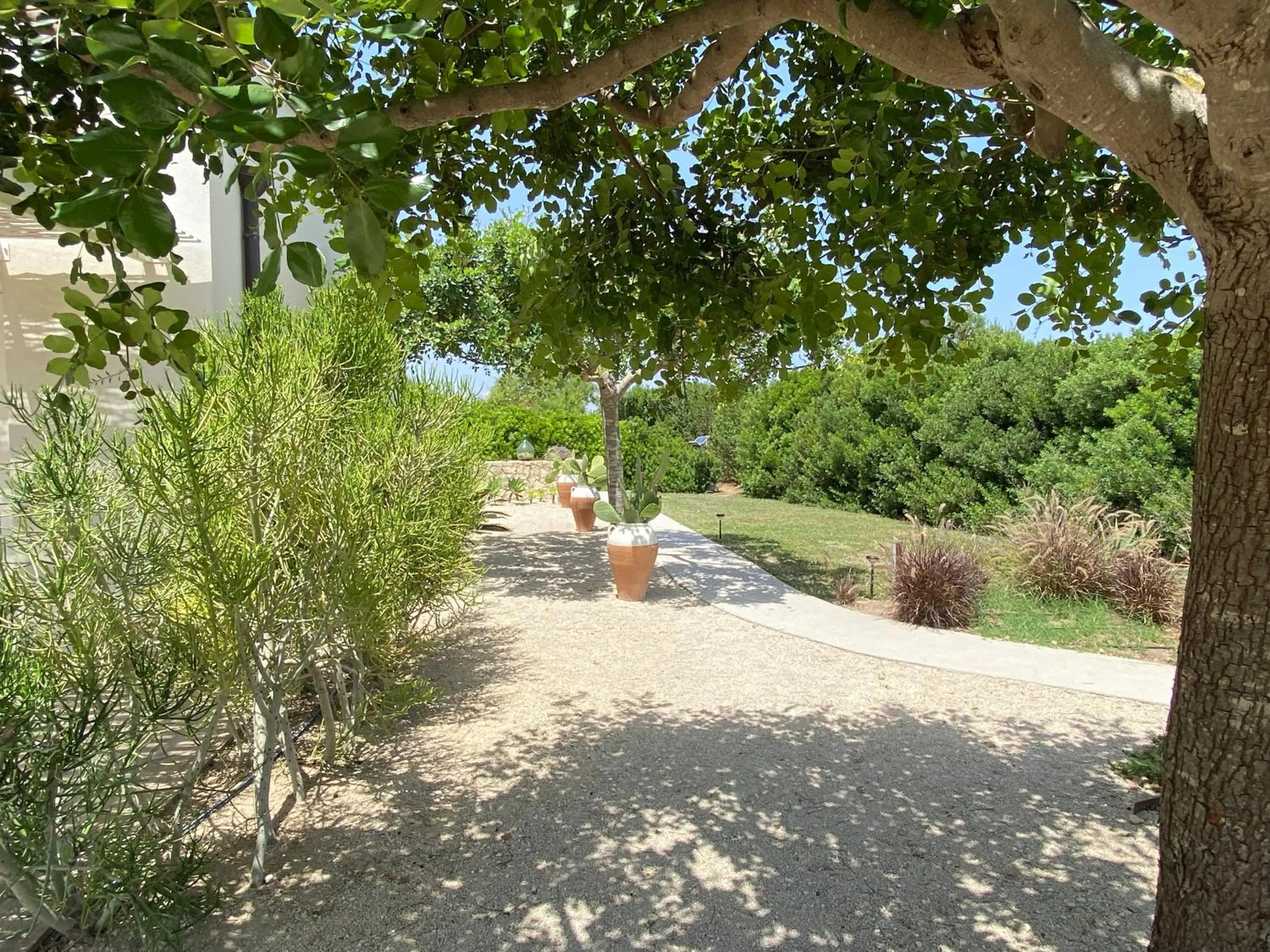 Garden in Scilla Maris Charming Suites