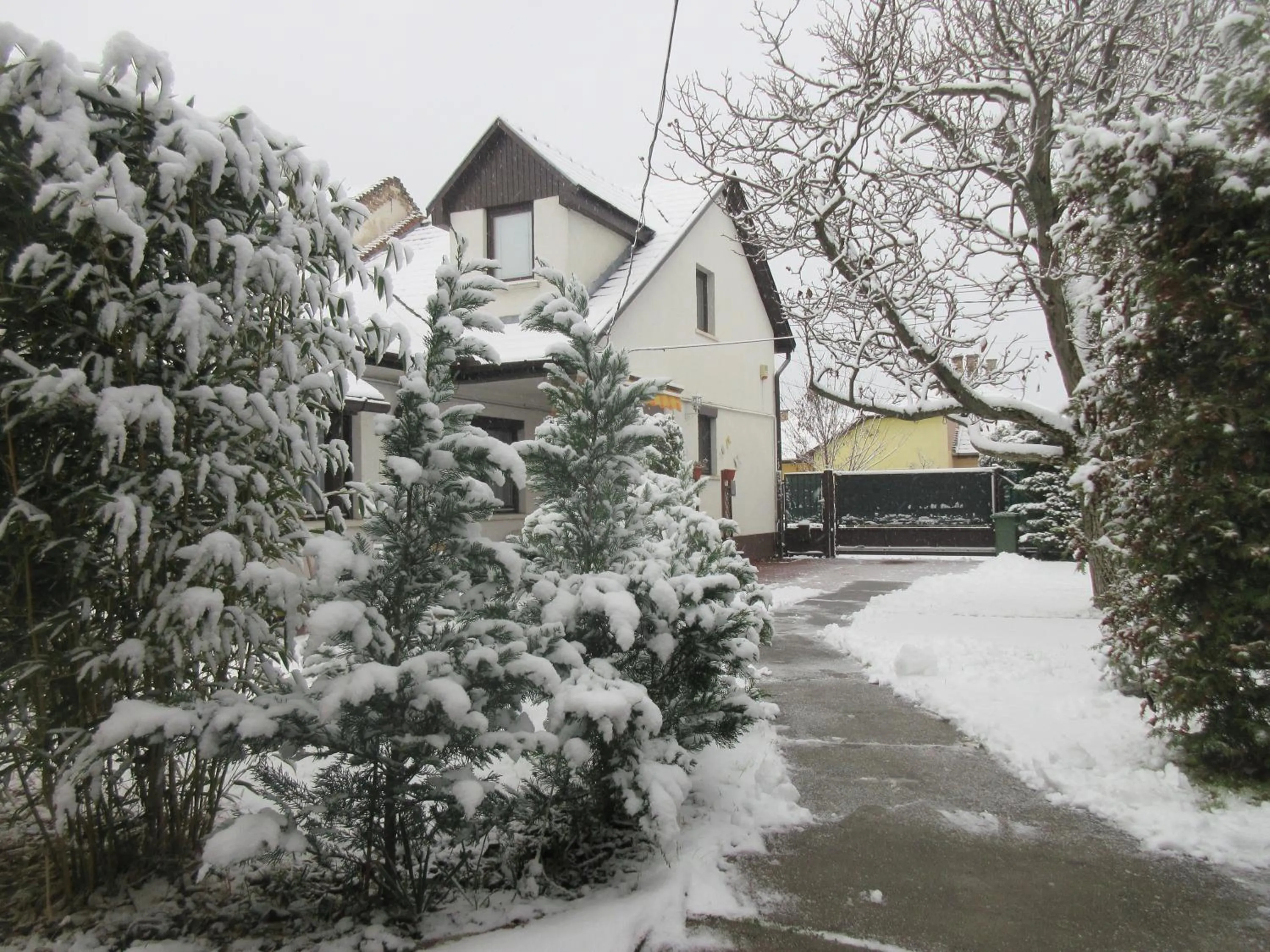 Sissi Residence with free parking lot
