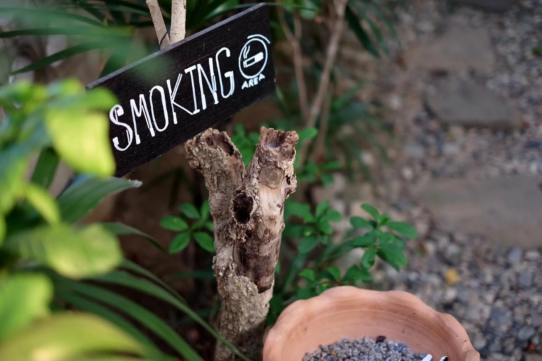 Activities in Kittawan Home&Gallery