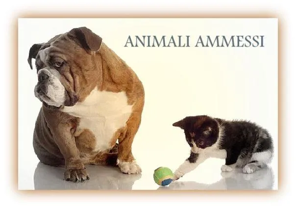 Animals in Hotel Beau Sejour