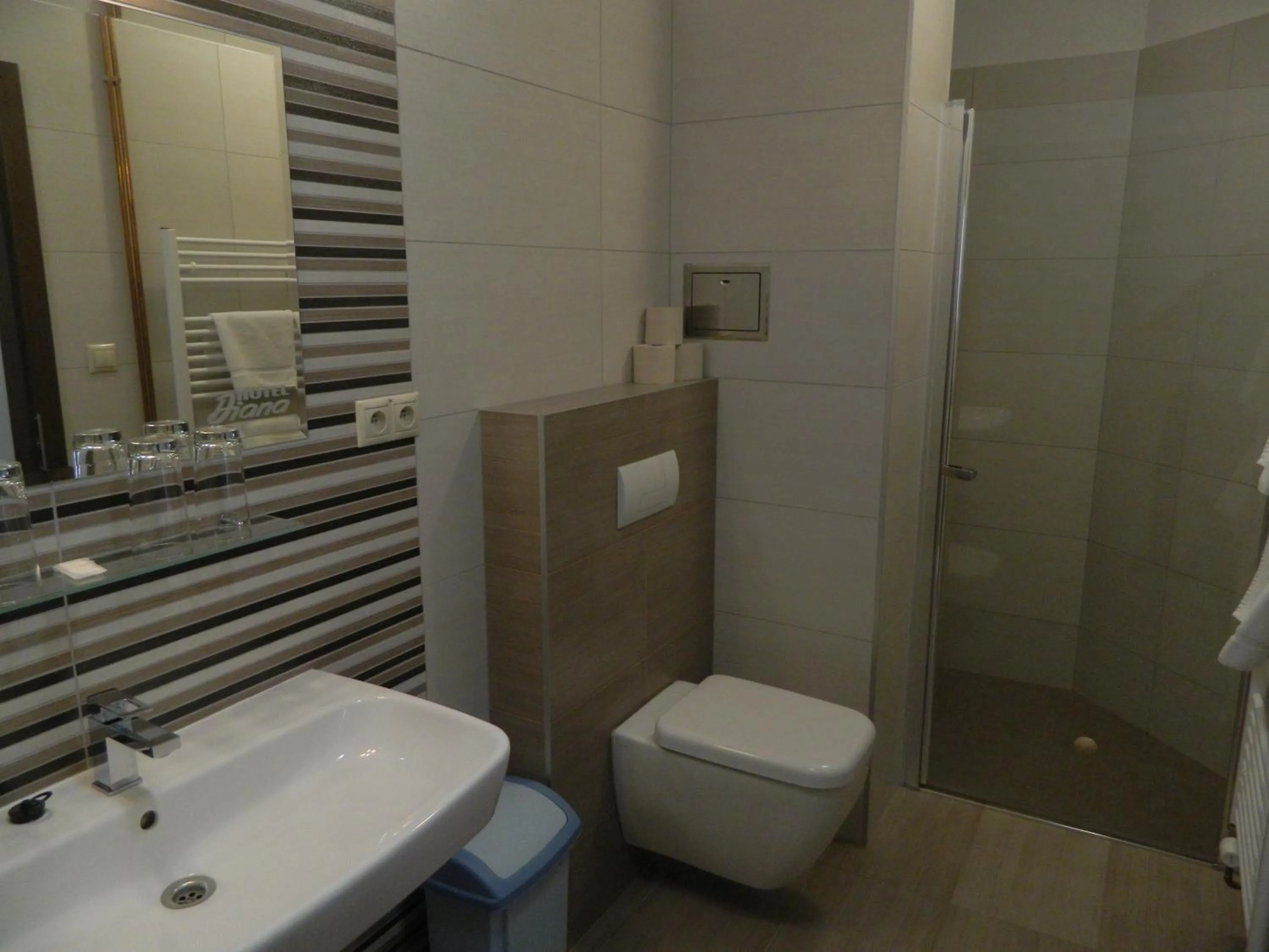 Bathroom in Hotel Diana