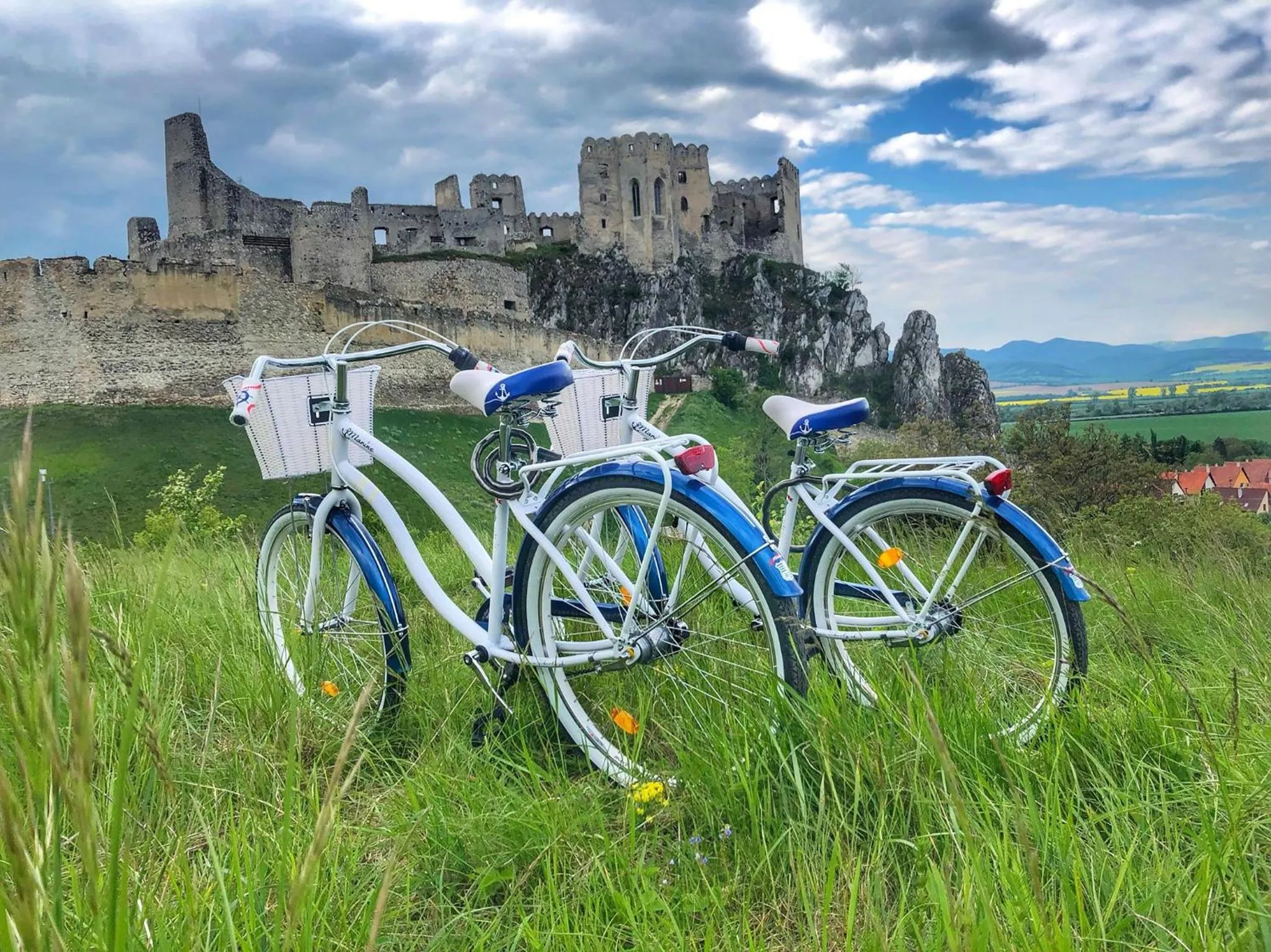 Natural landscape in Hotel Diana