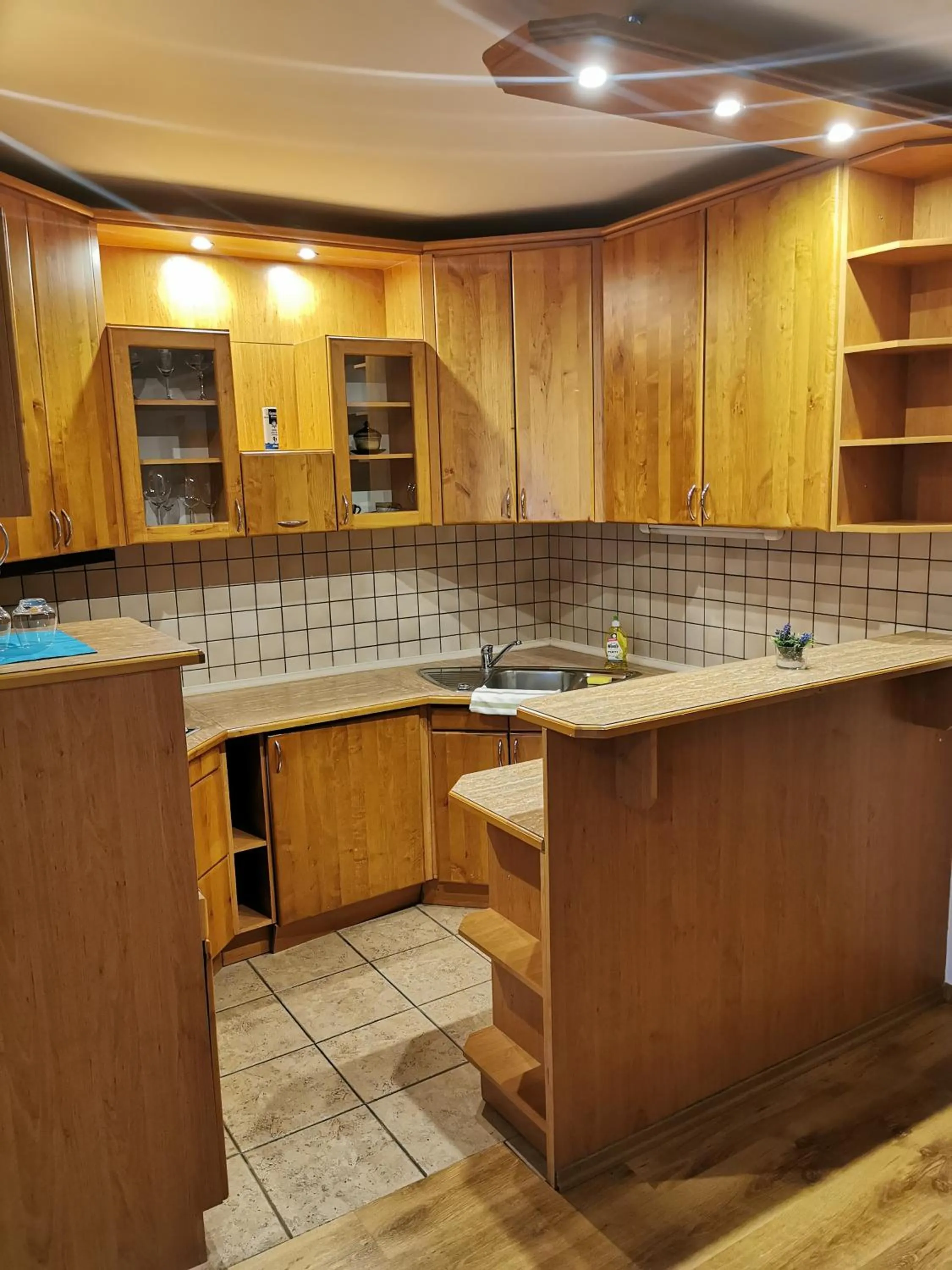 Kitchen or kitchenette in Hotel Diana