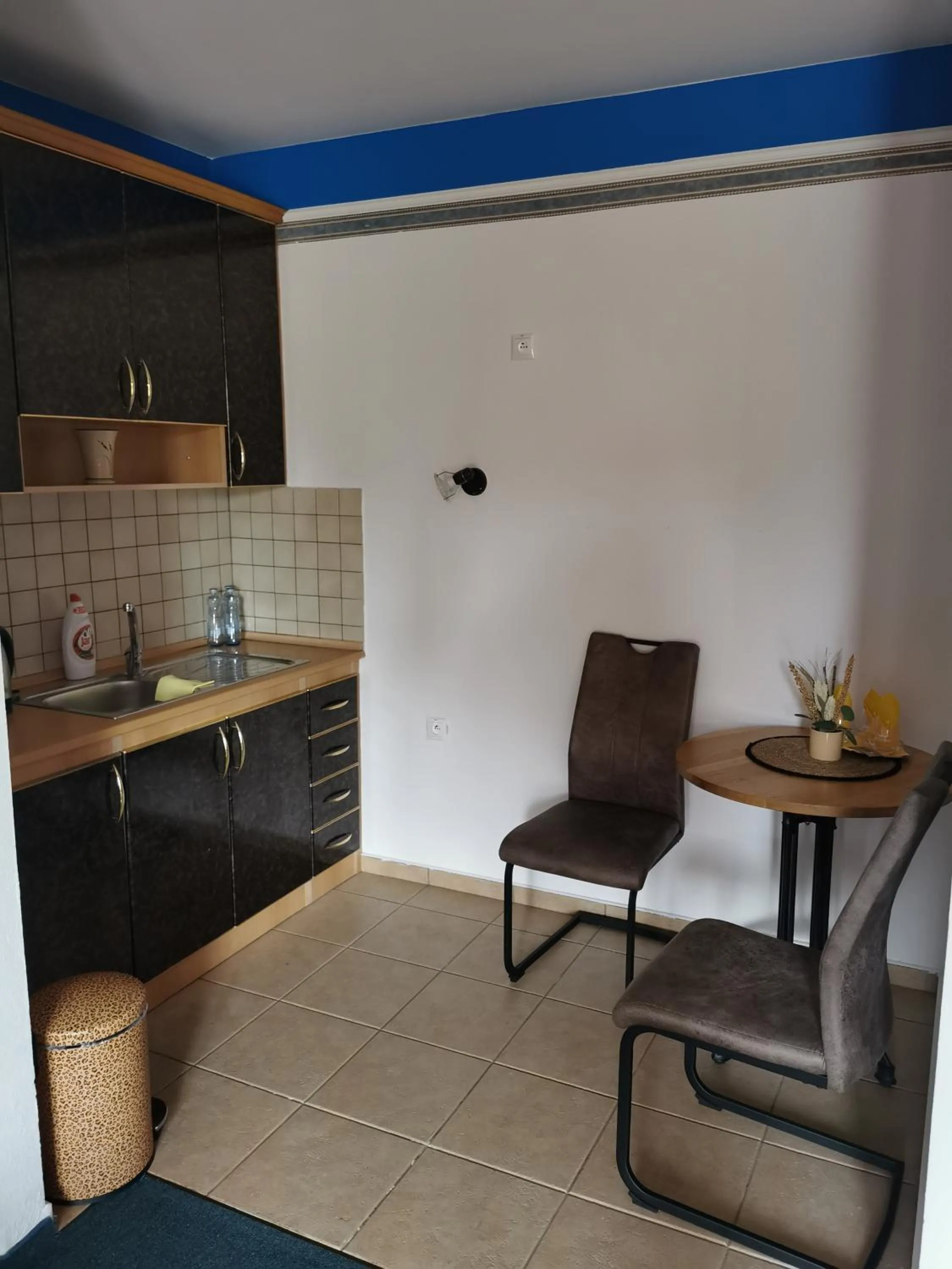 Kitchen or kitchenette in Hotel Diana