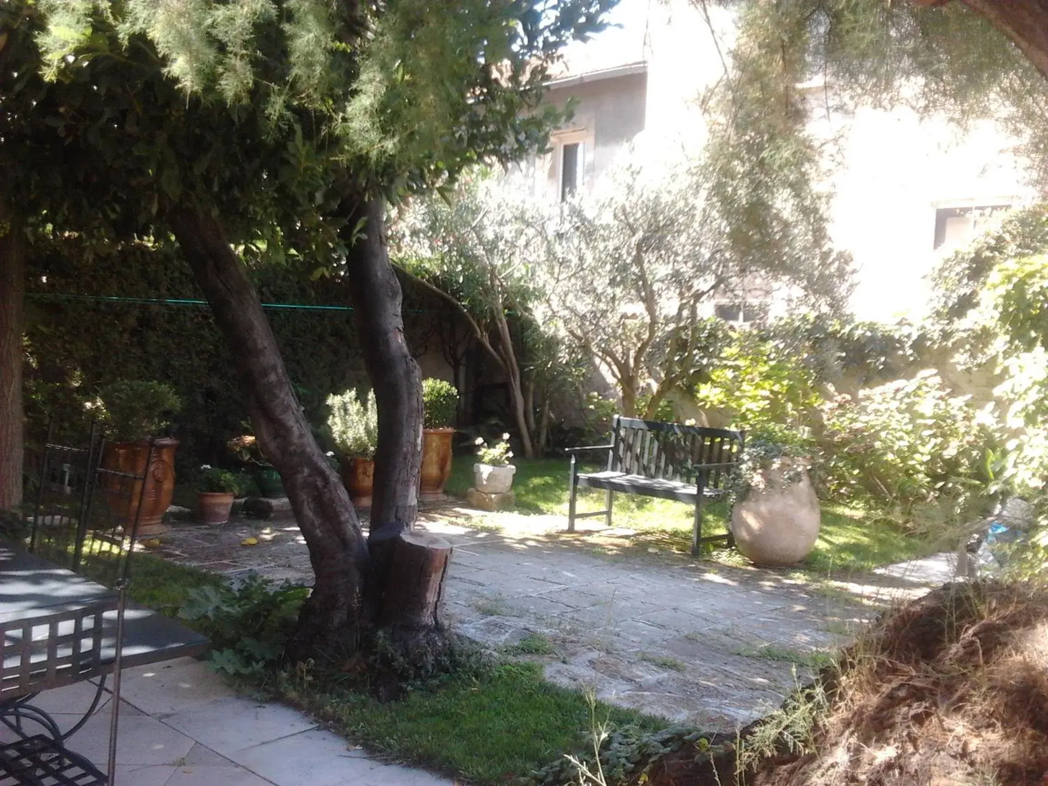 Arles les Alyscamps Arles les Alyscamps