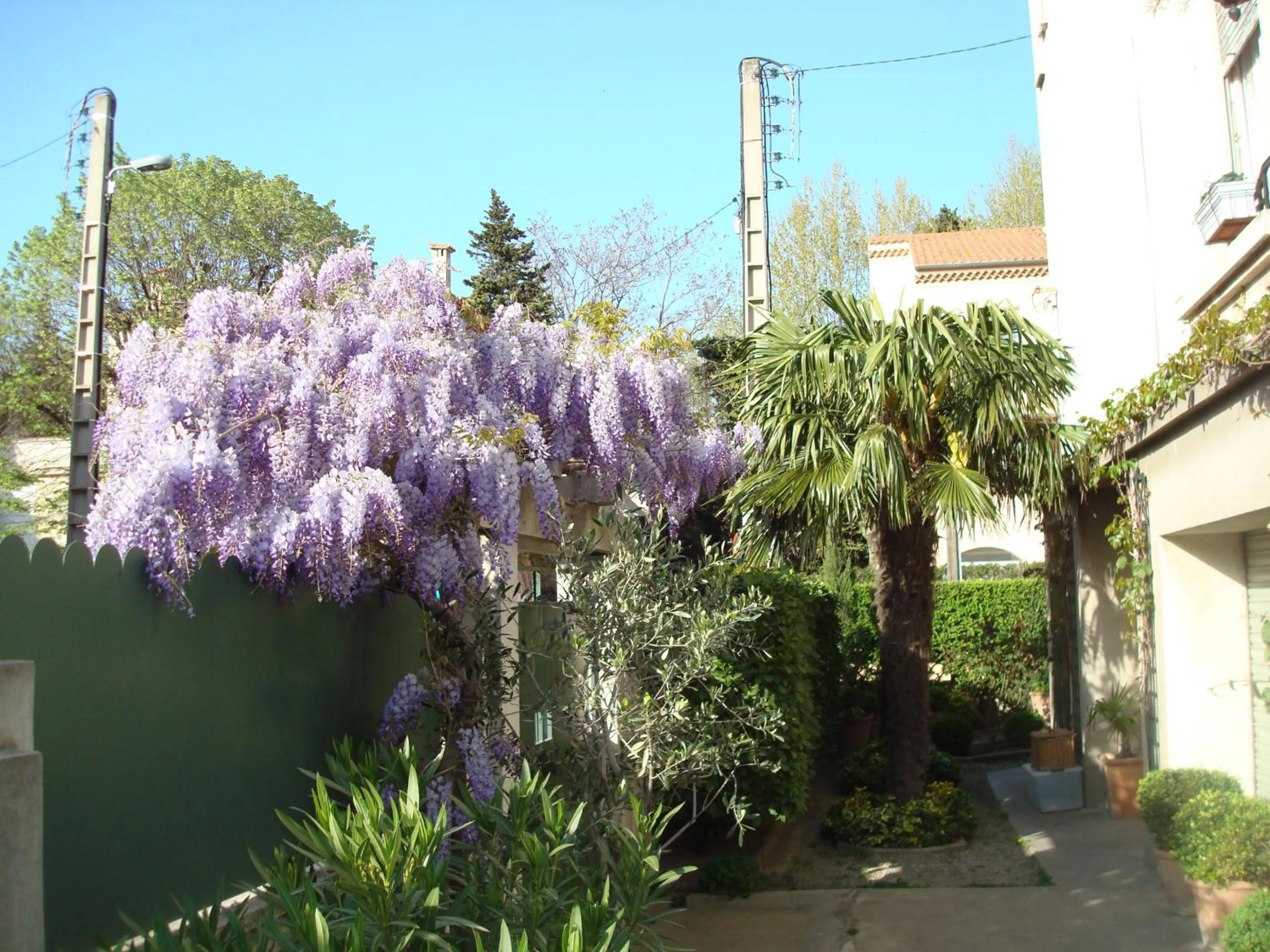 Garden in Arles les Alyscamps