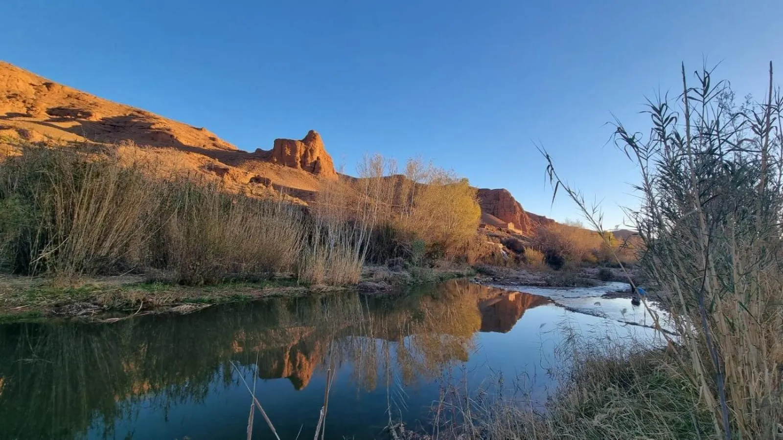 Garden in Dar Jnan Tiouira Dades