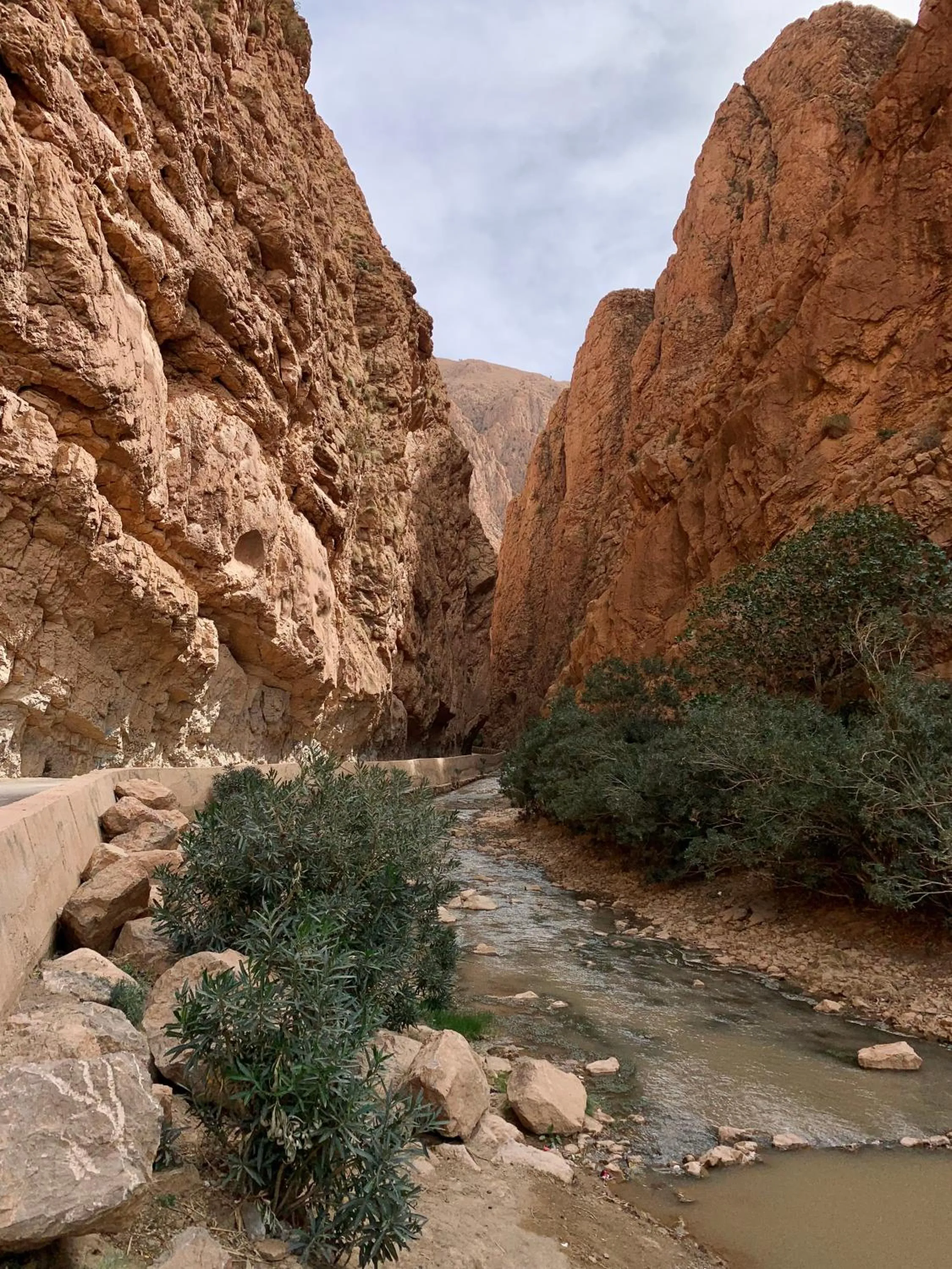 Natural landscape in Dar Jnan Tiouira Dades