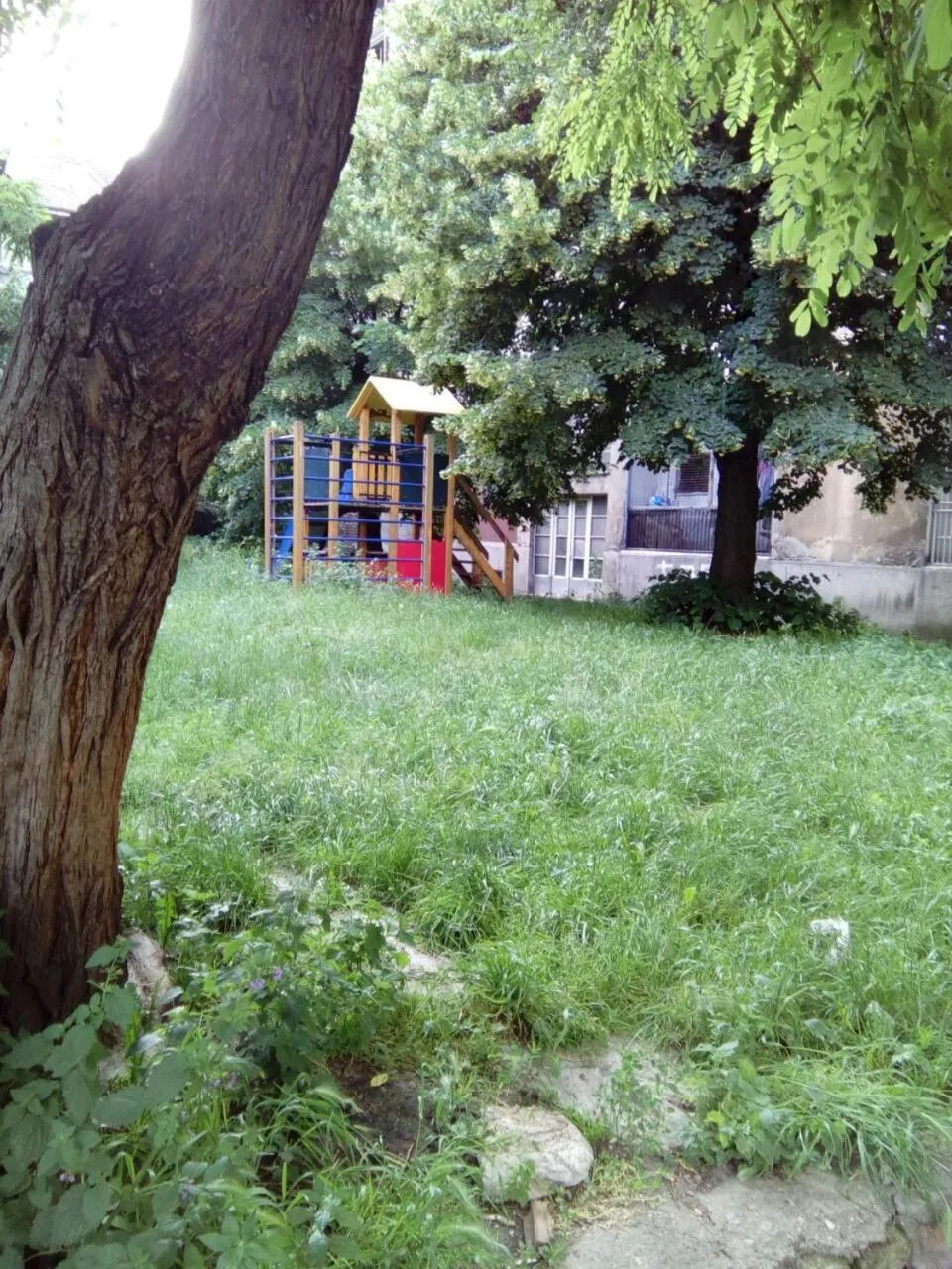 Garden in Apartment Dok