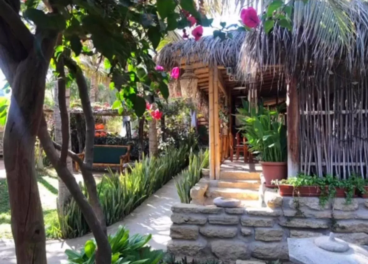 Restaurant/places to eat in Kasa Pelikanos