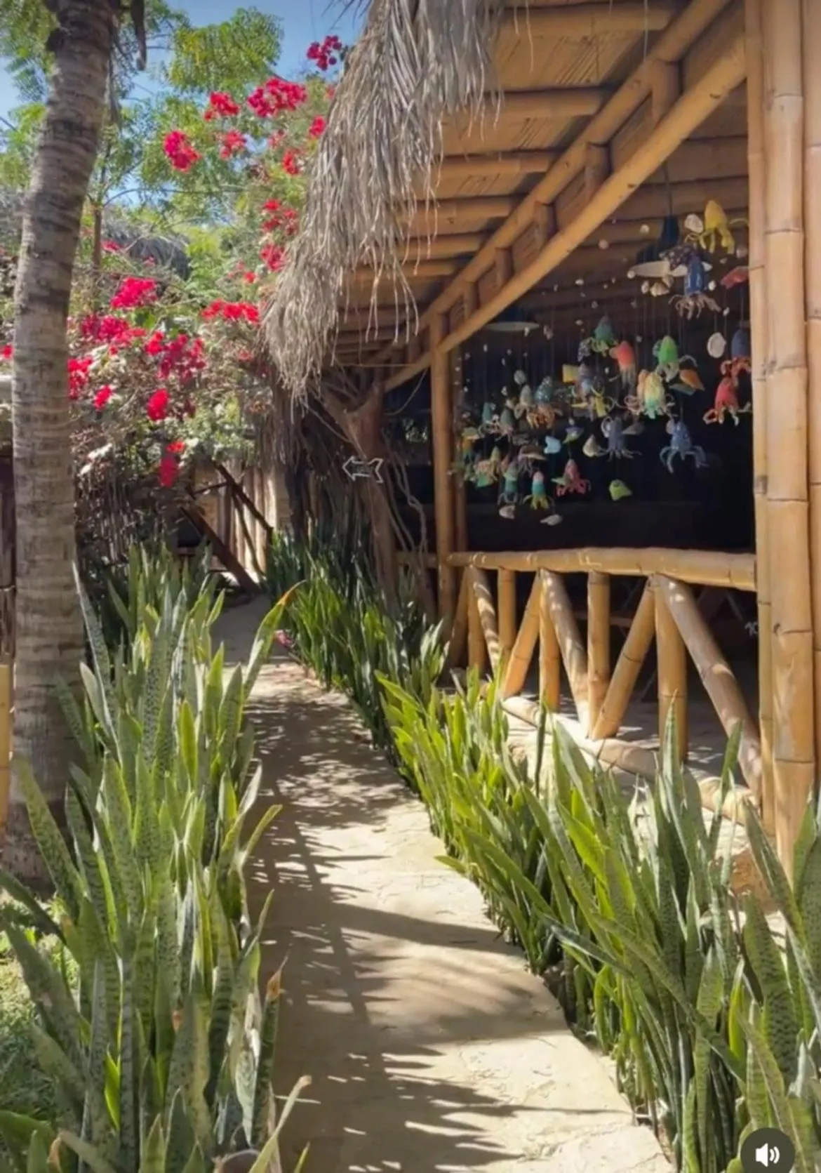 Restaurant/places to eat in Kasa Pelikanos