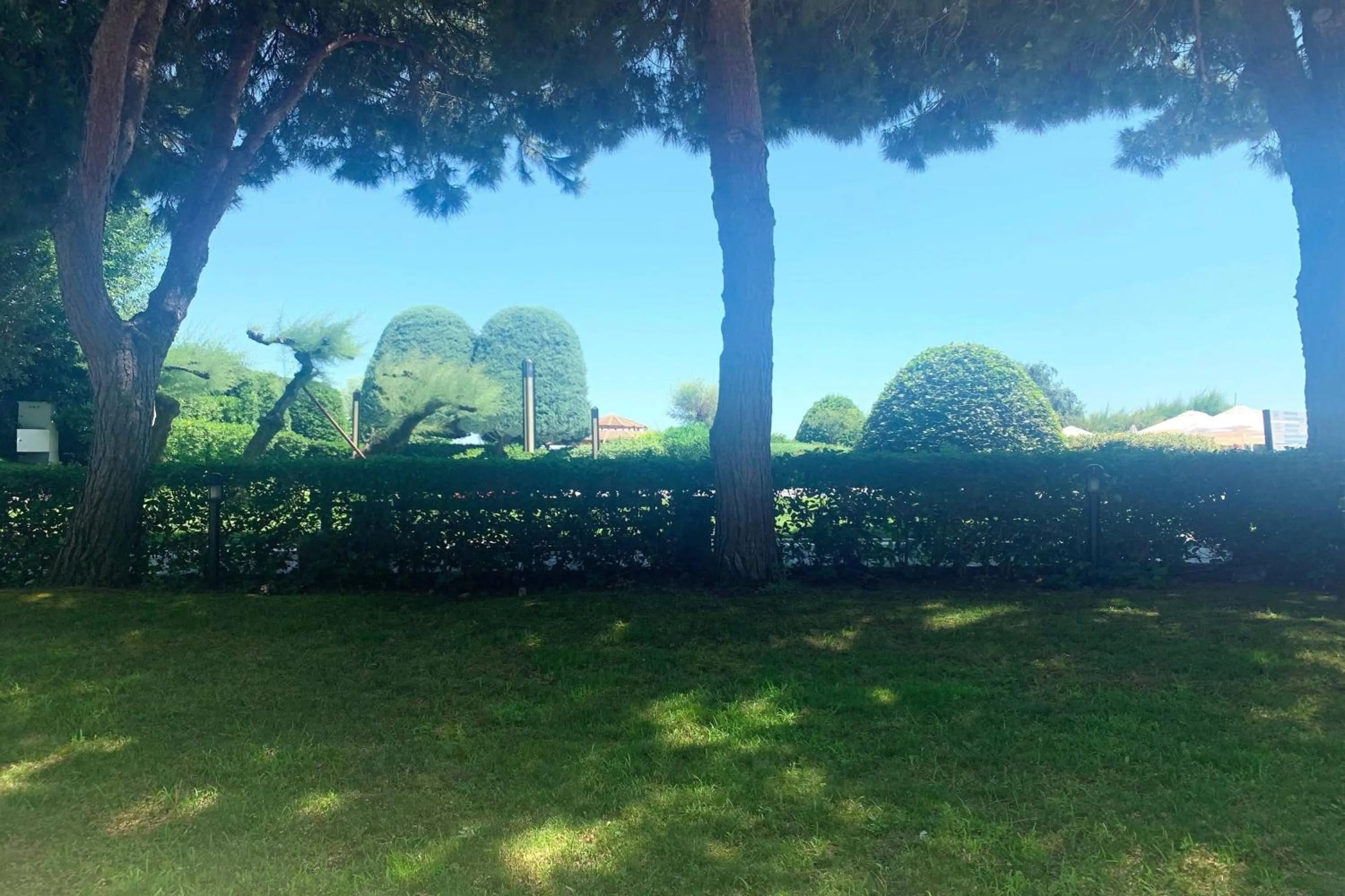 Photo of the whole room in Renaissance Polat Istanbul Hotel