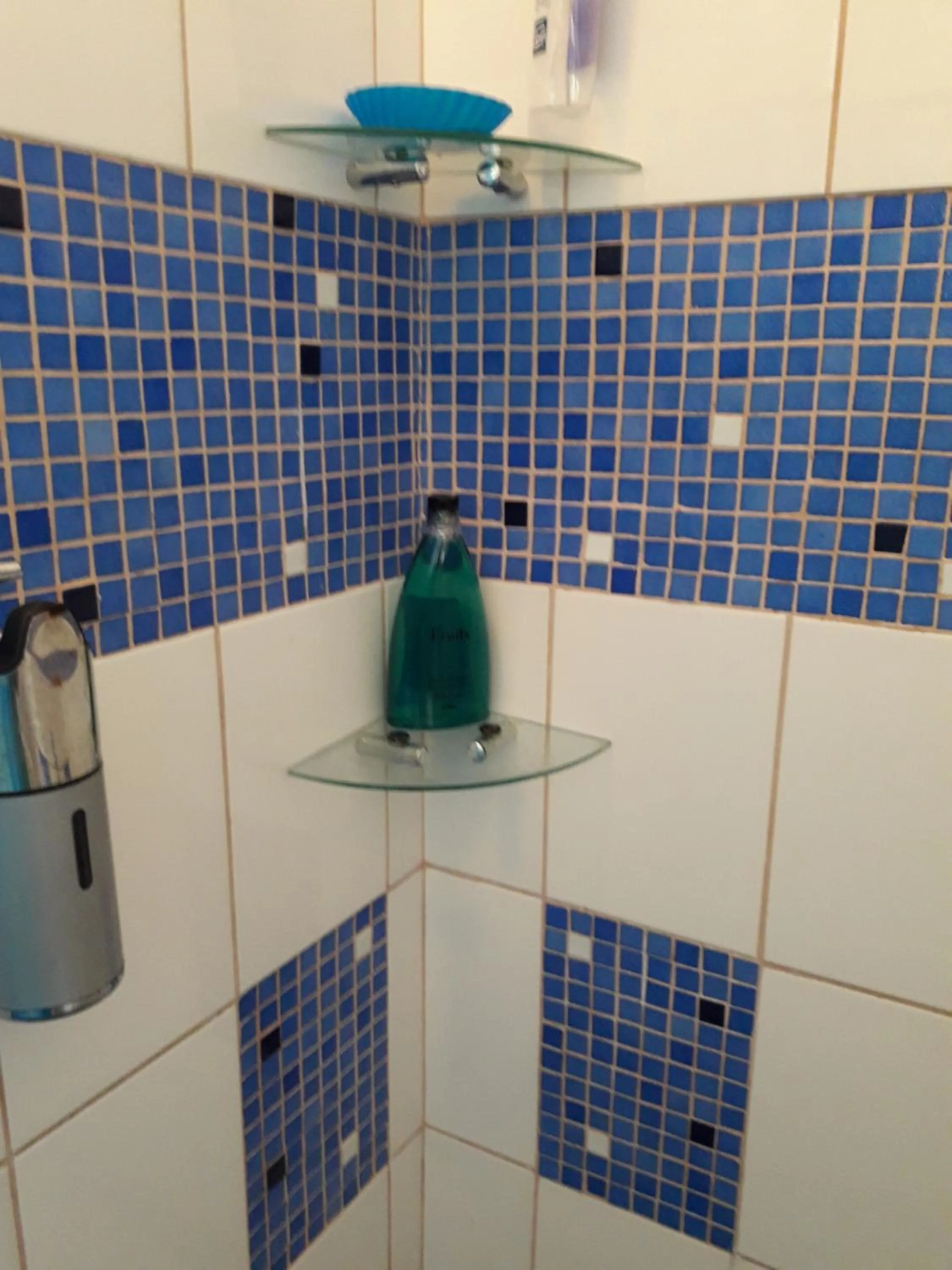 Shower in Cosy Hut
