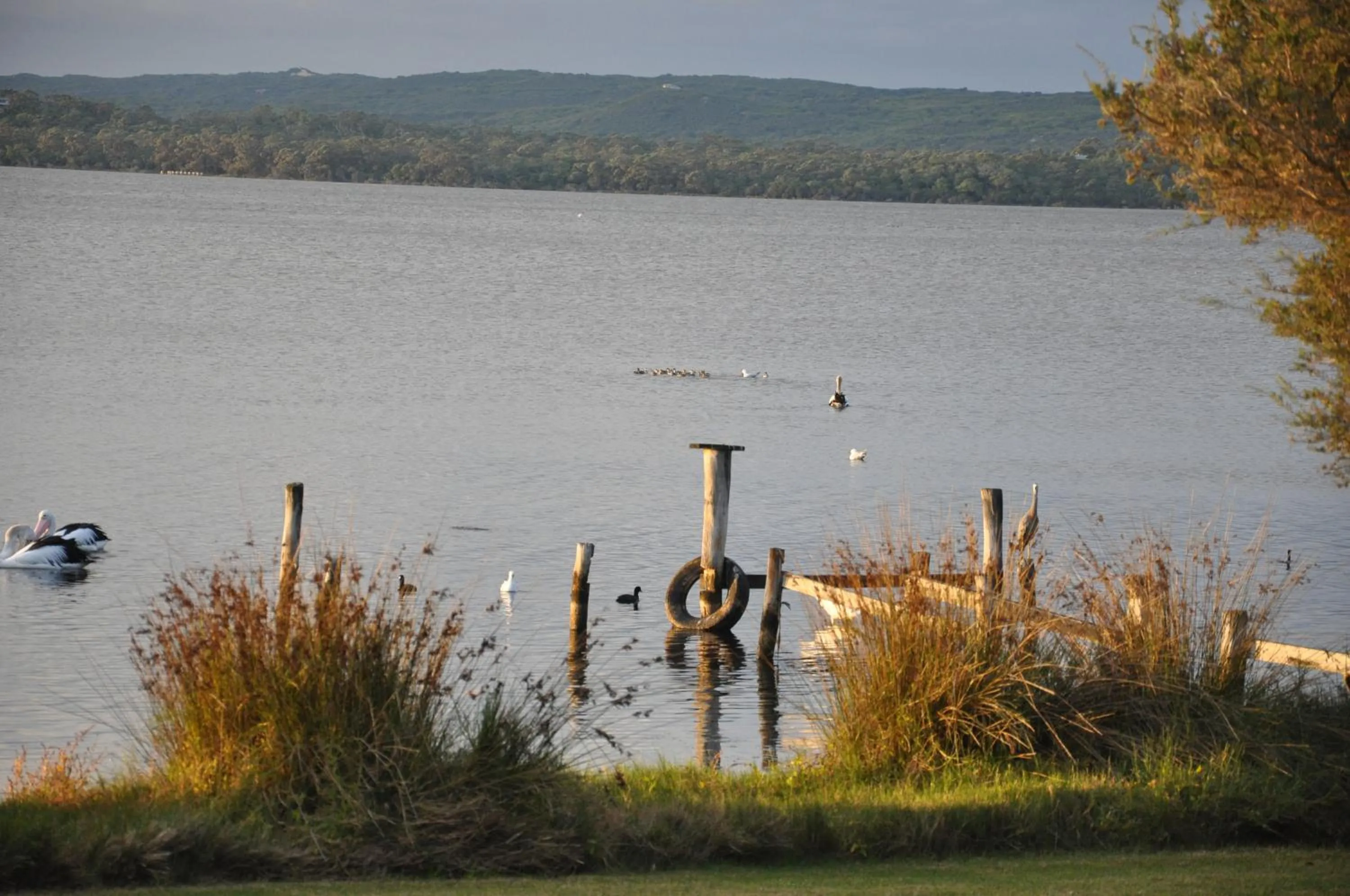 Denmark Waters B&B