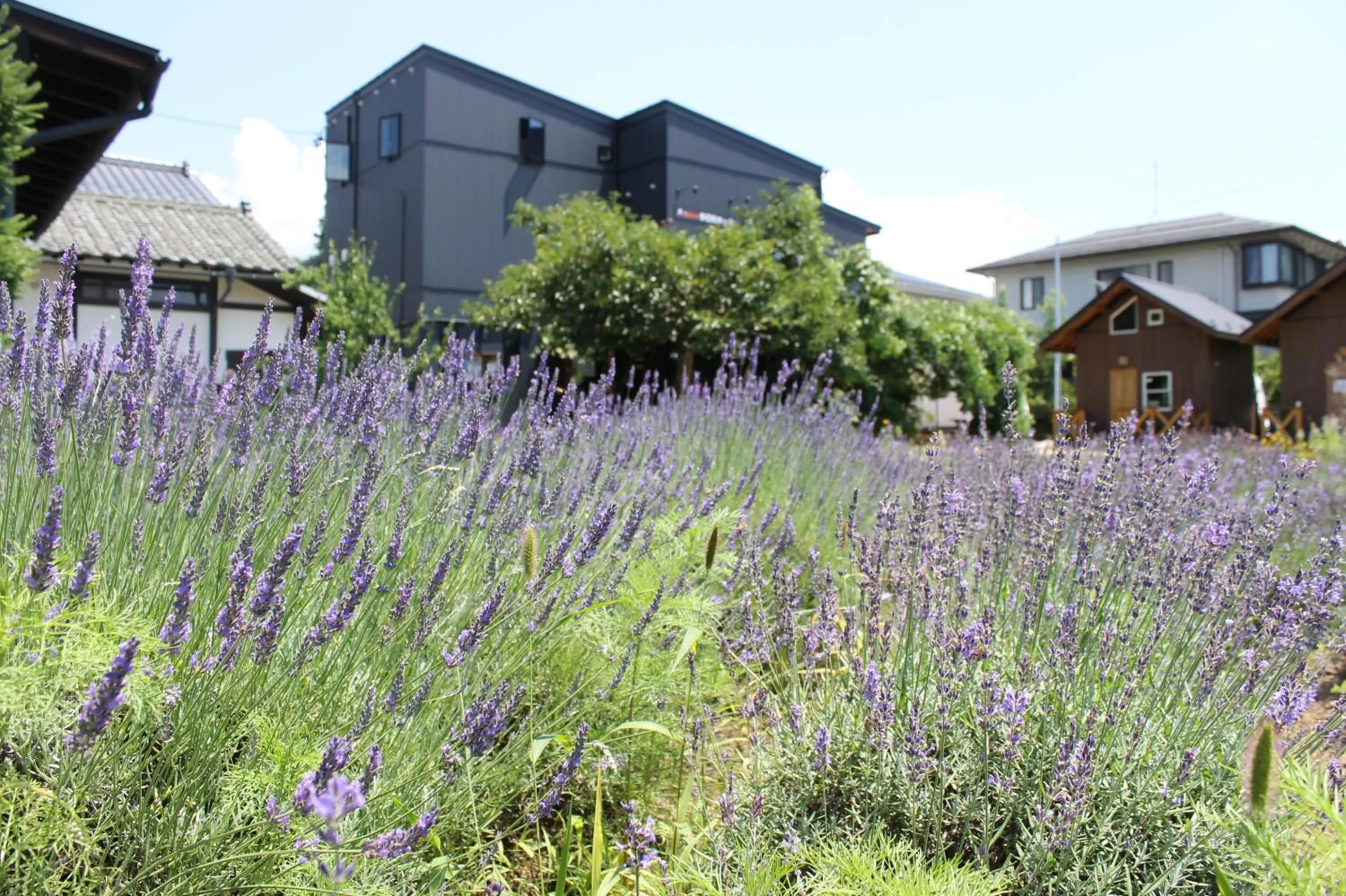 Seasons in Tomareru Himitsukichi L-Base