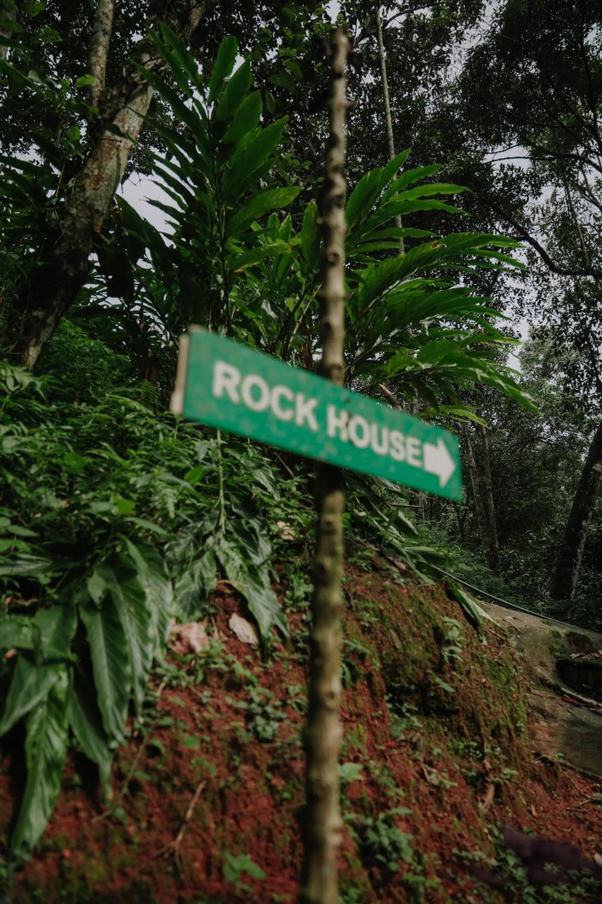 Day in Ela Ecoland Nature Retreat