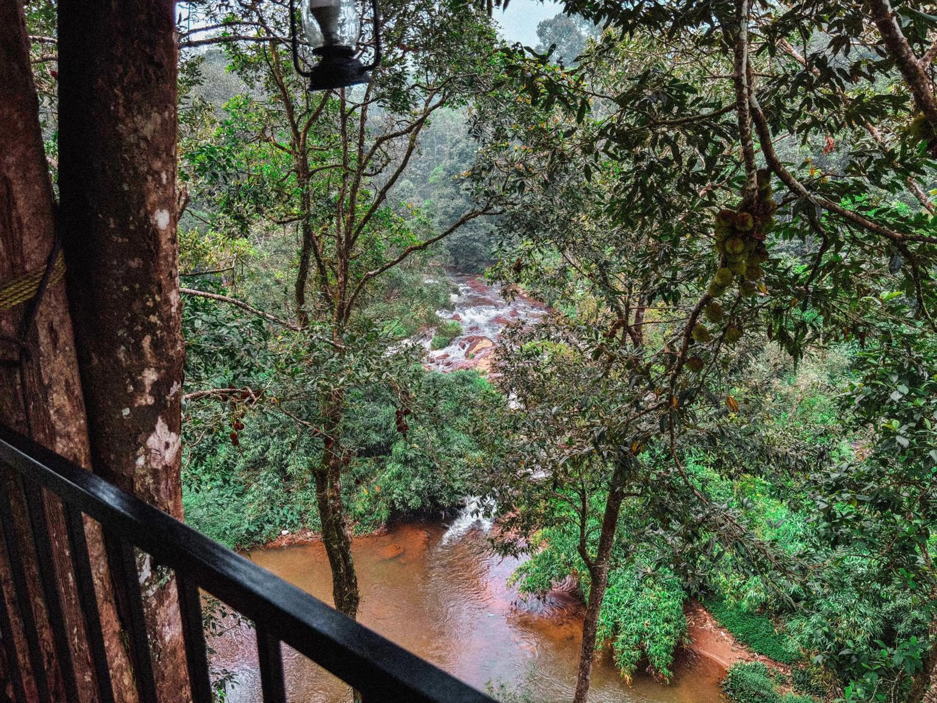 Spring in Ela Ecoland Nature Retreat