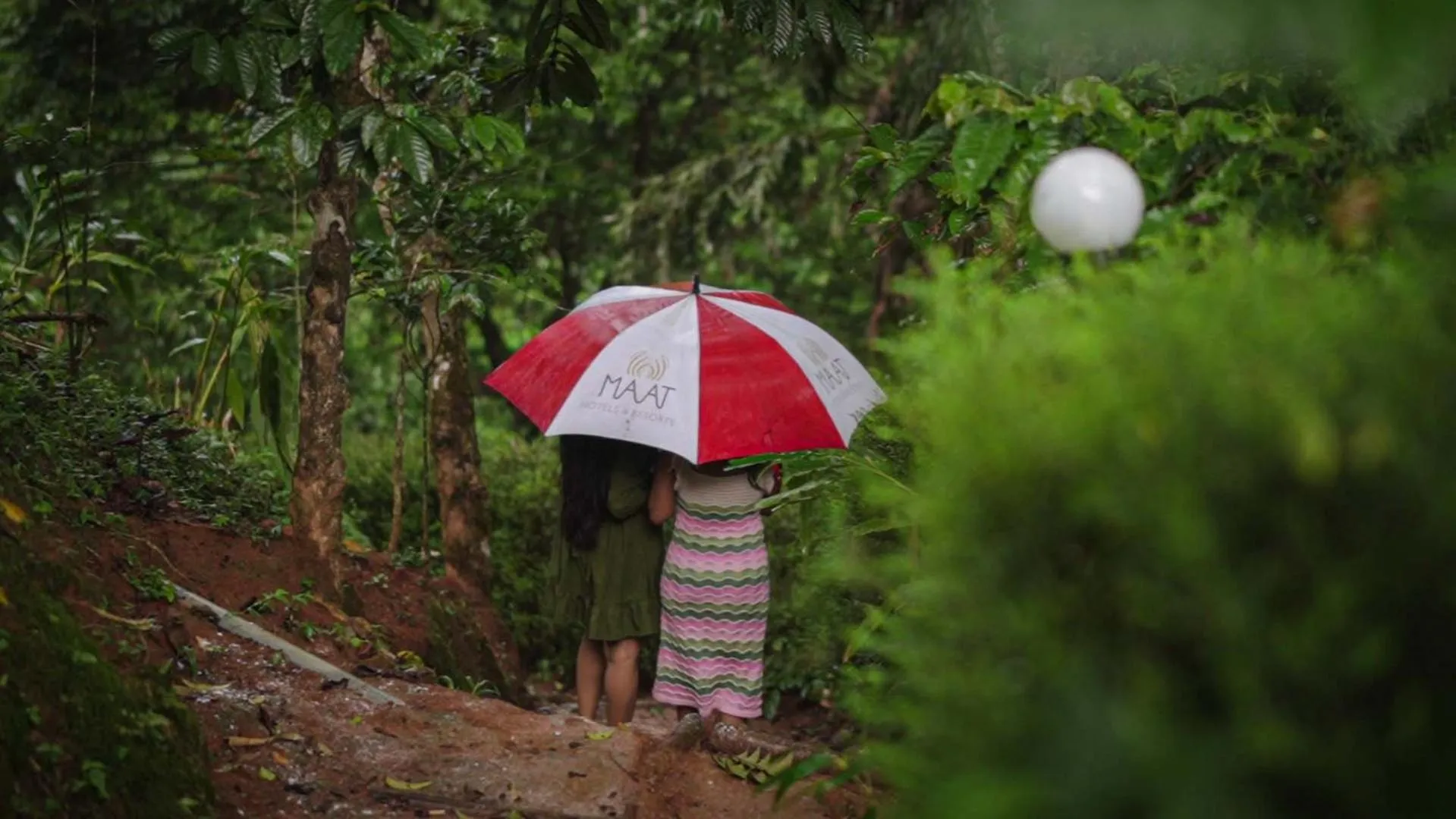 Spring in Ela Ecoland Nature Retreat