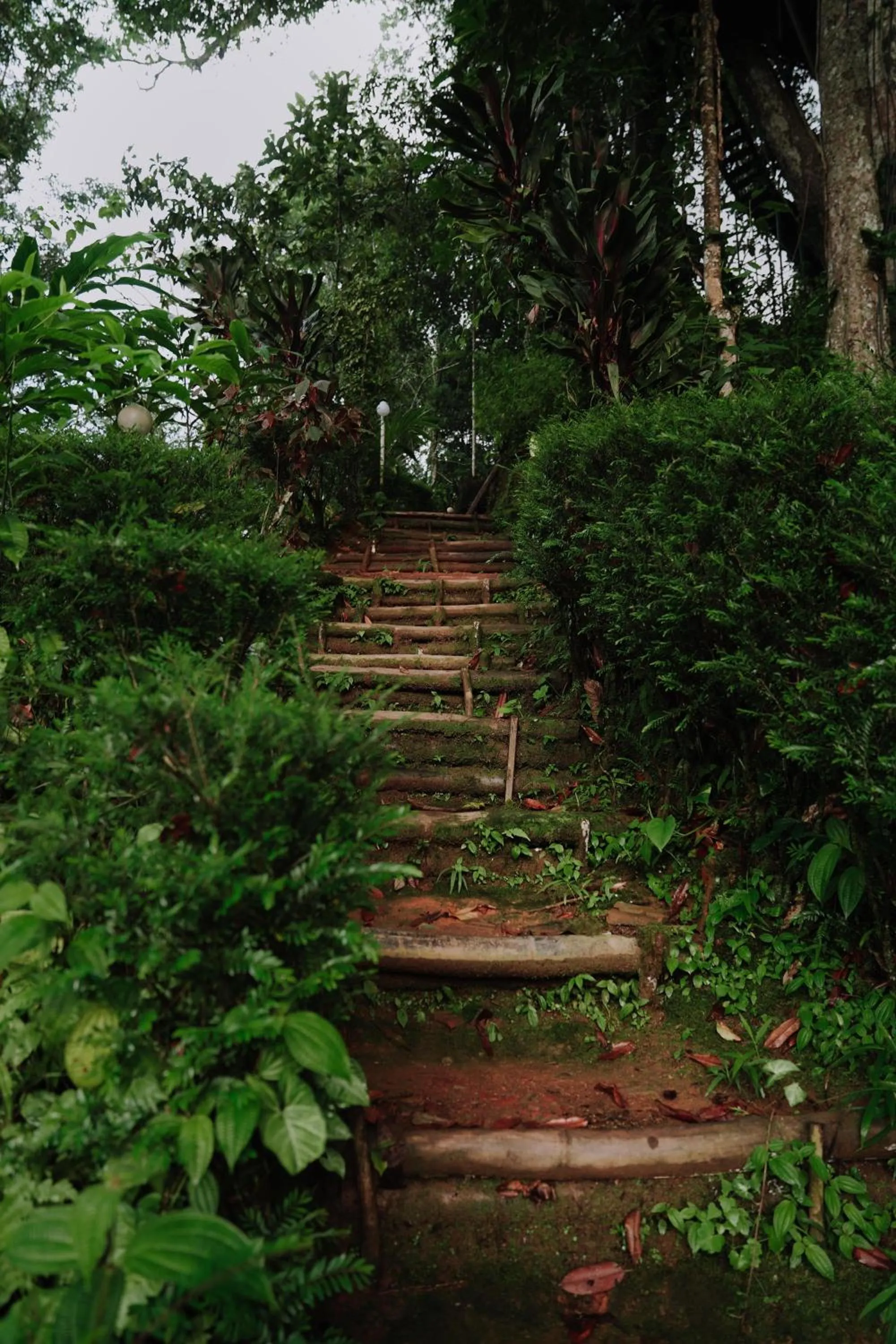 Spring in Ela Ecoland Nature Retreat