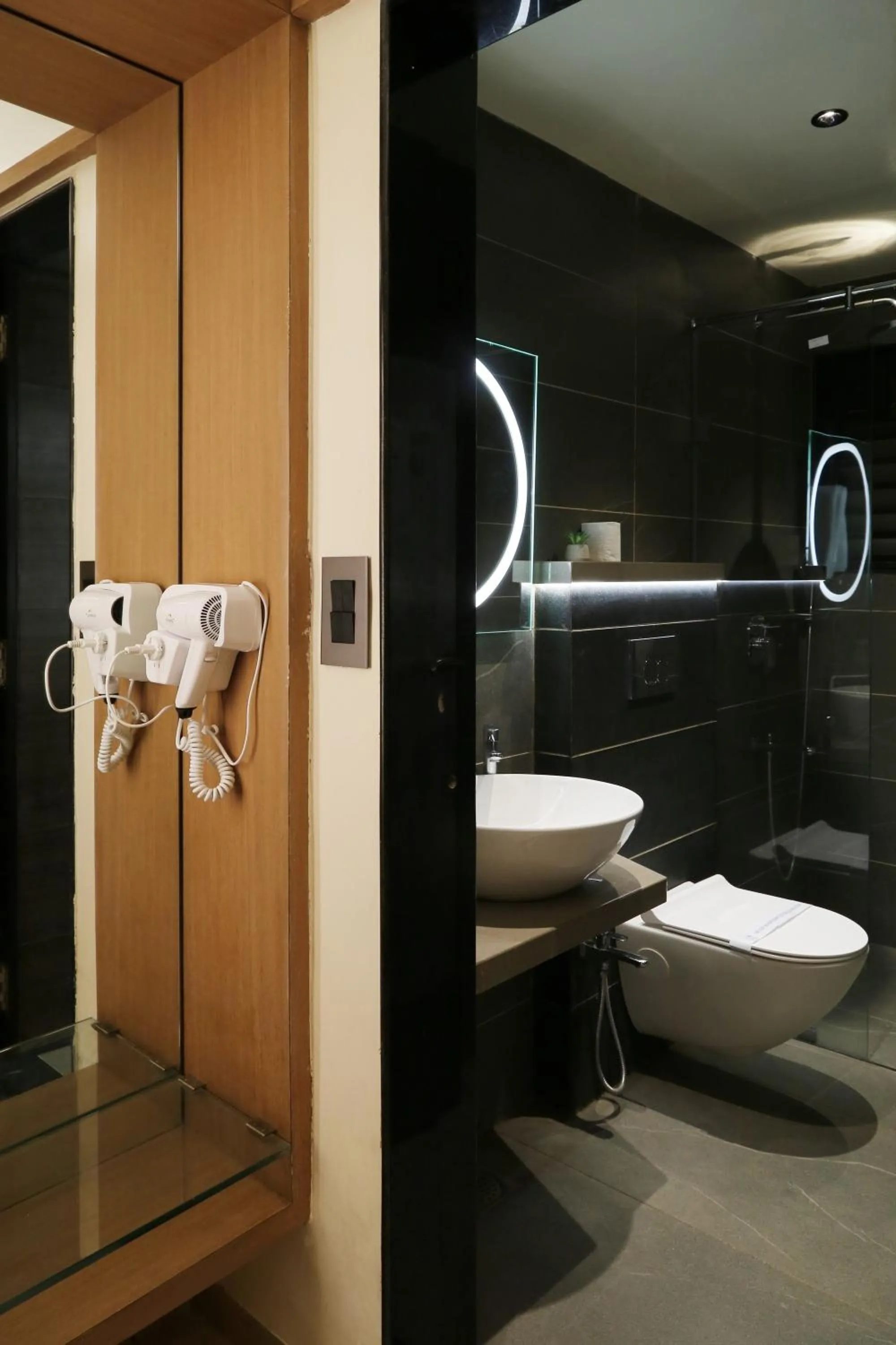 hair dryier in Hotel The Leaf