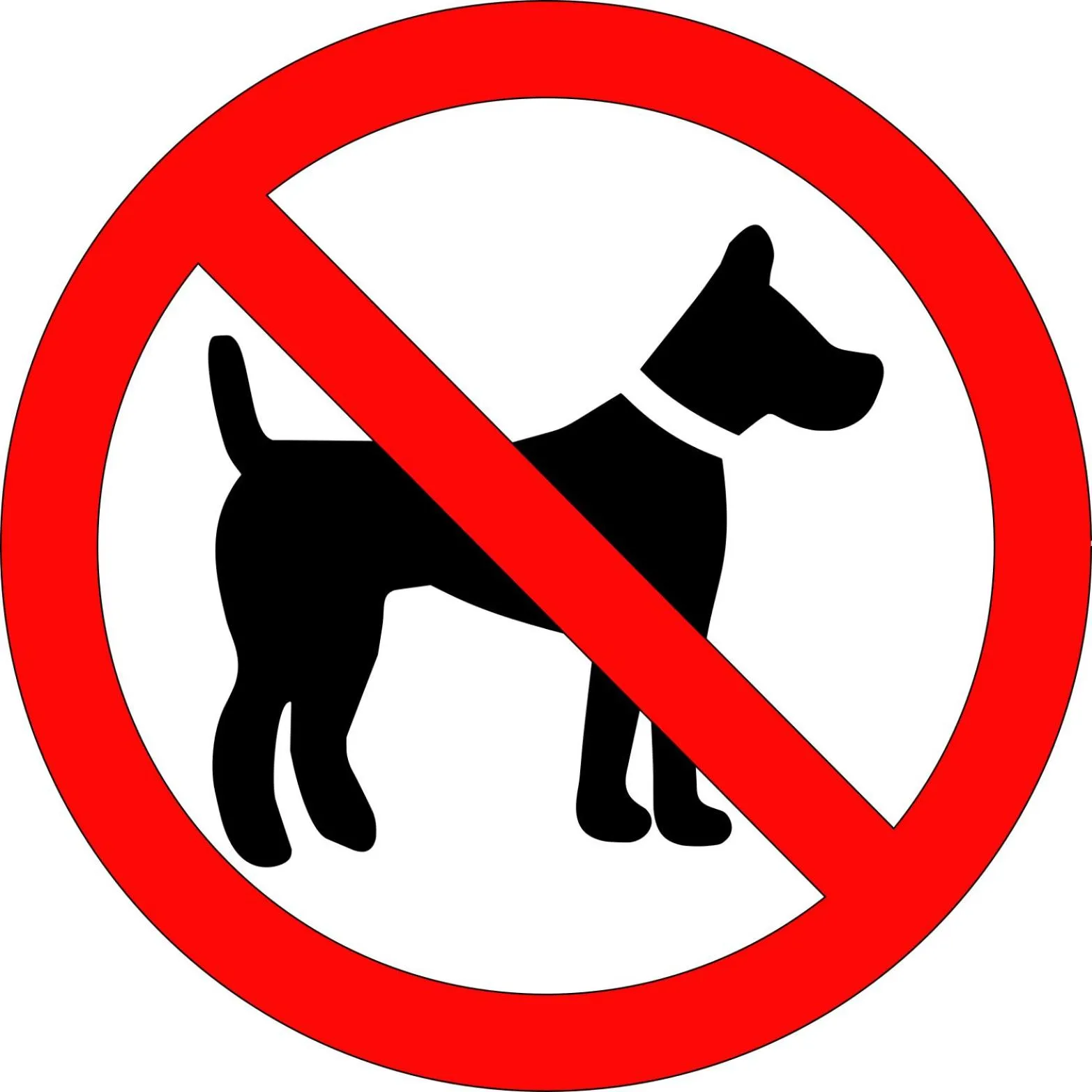 Animals in Egenes Camping