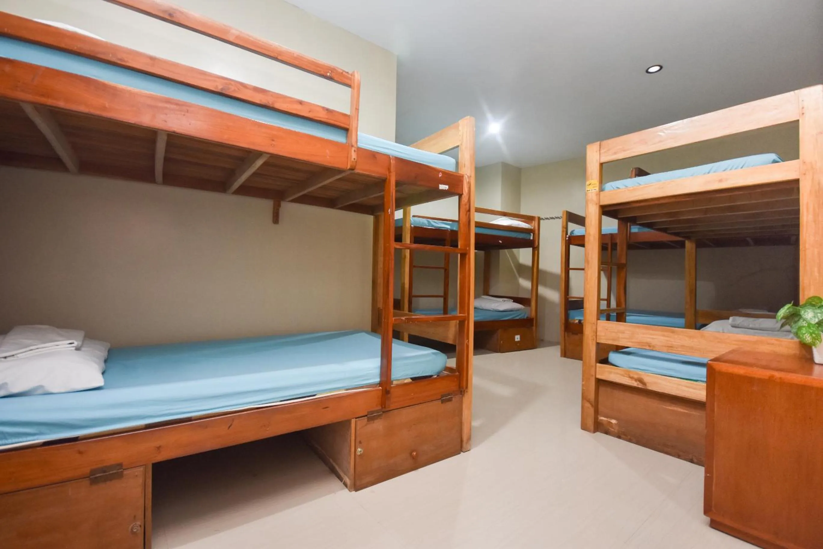 Bed in Boracay Backpackers