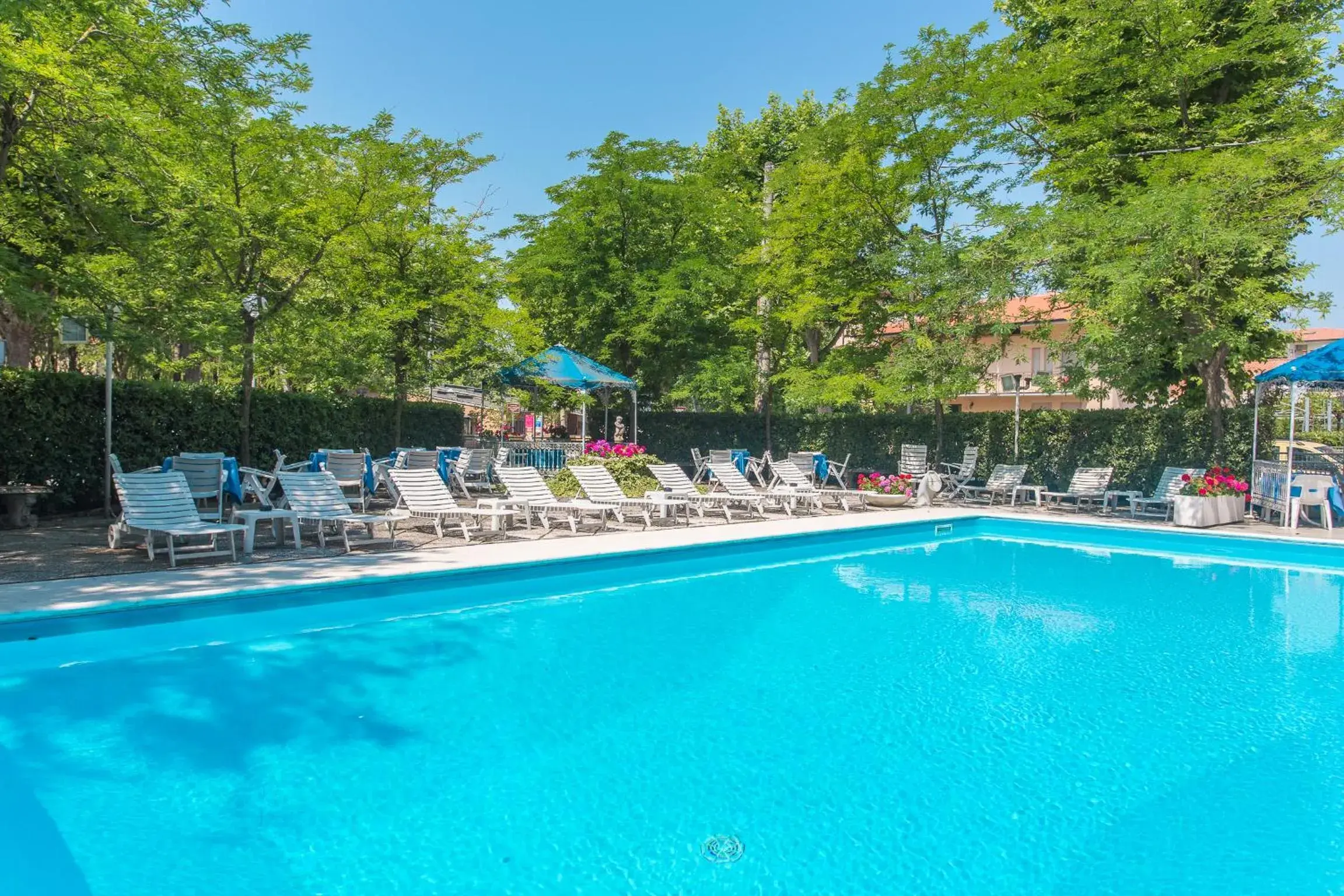 Swimming Pool in Hotel Gioiello