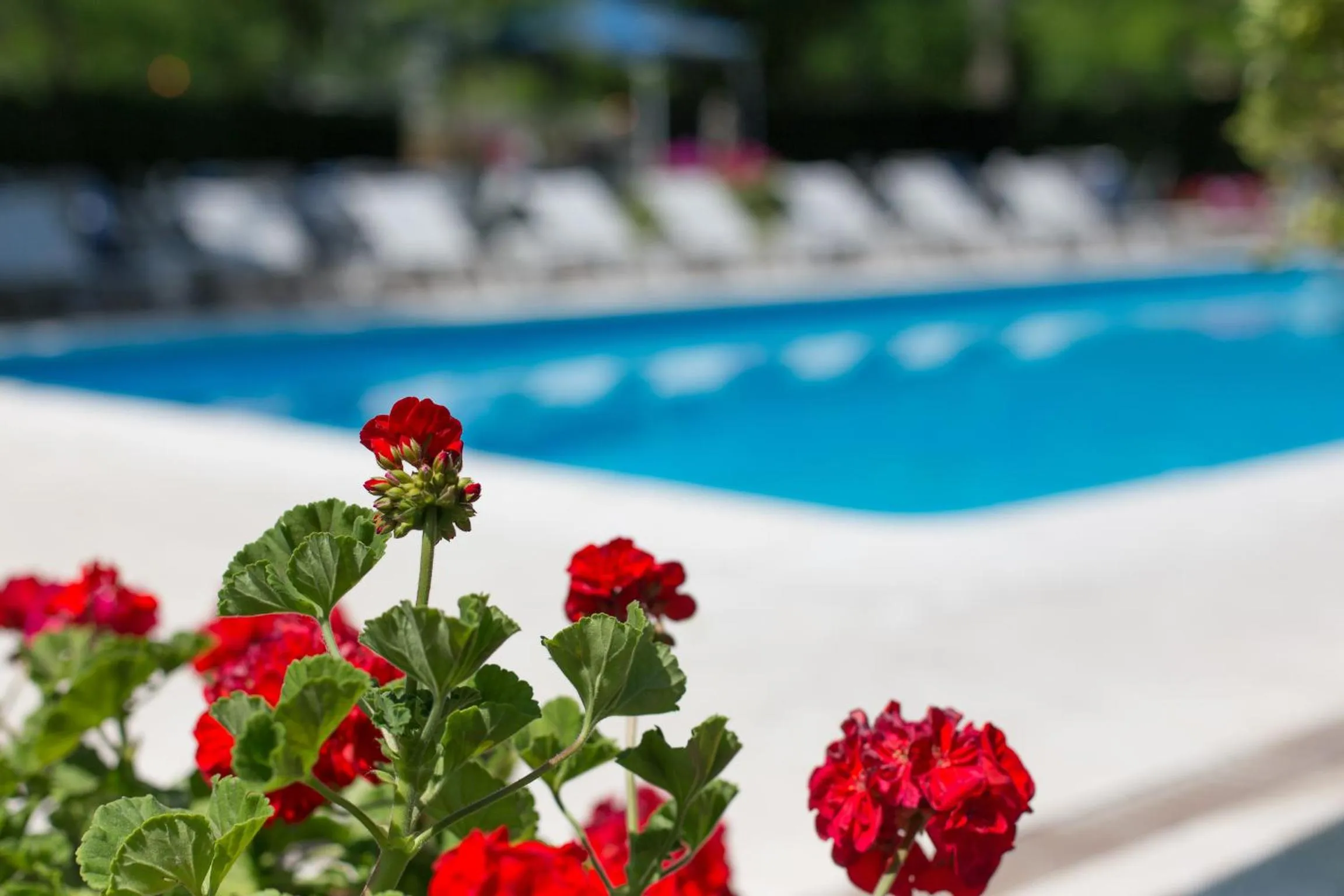 Swimming pool in Hotel Gioiello