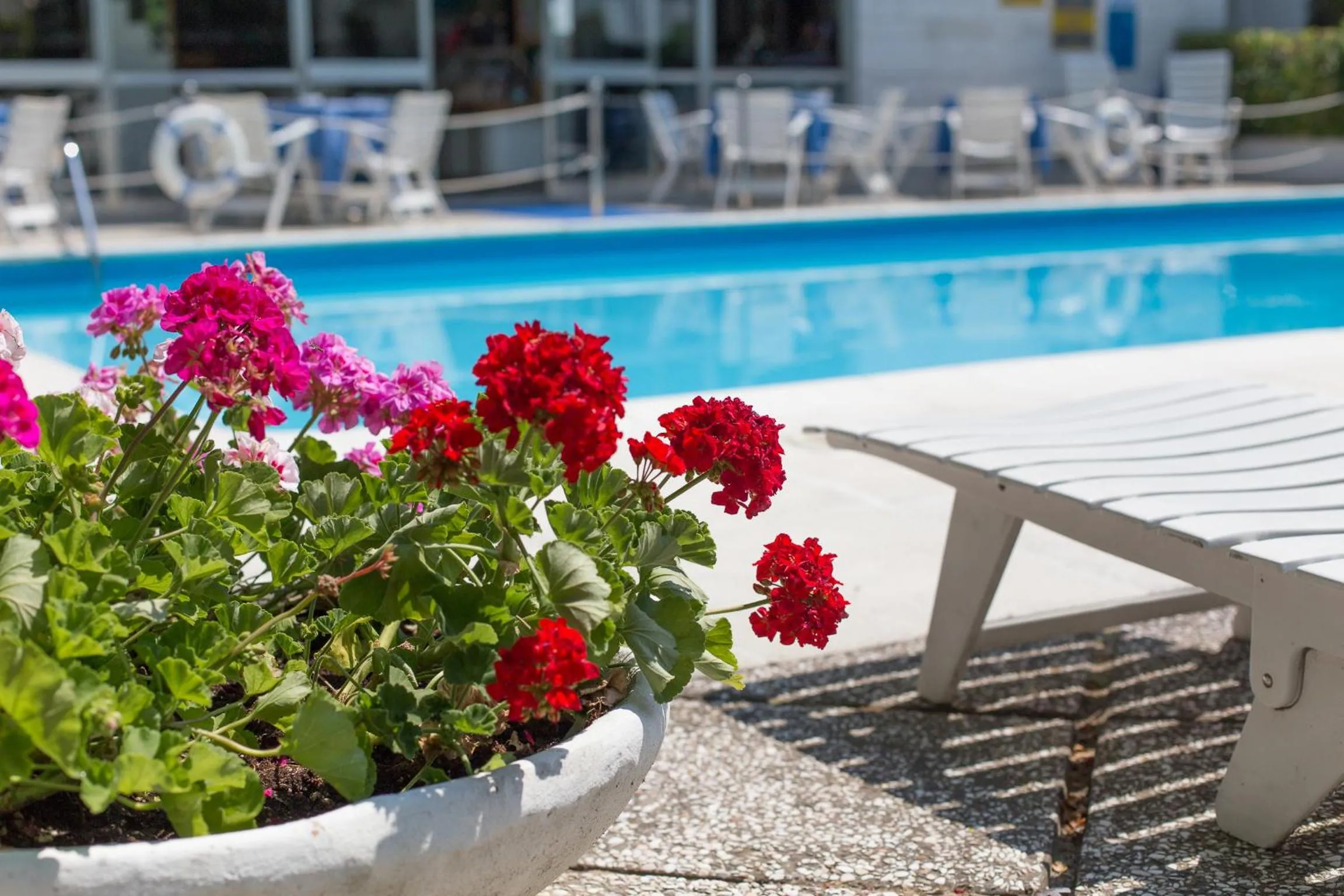 Swimming pool in Hotel Gioiello