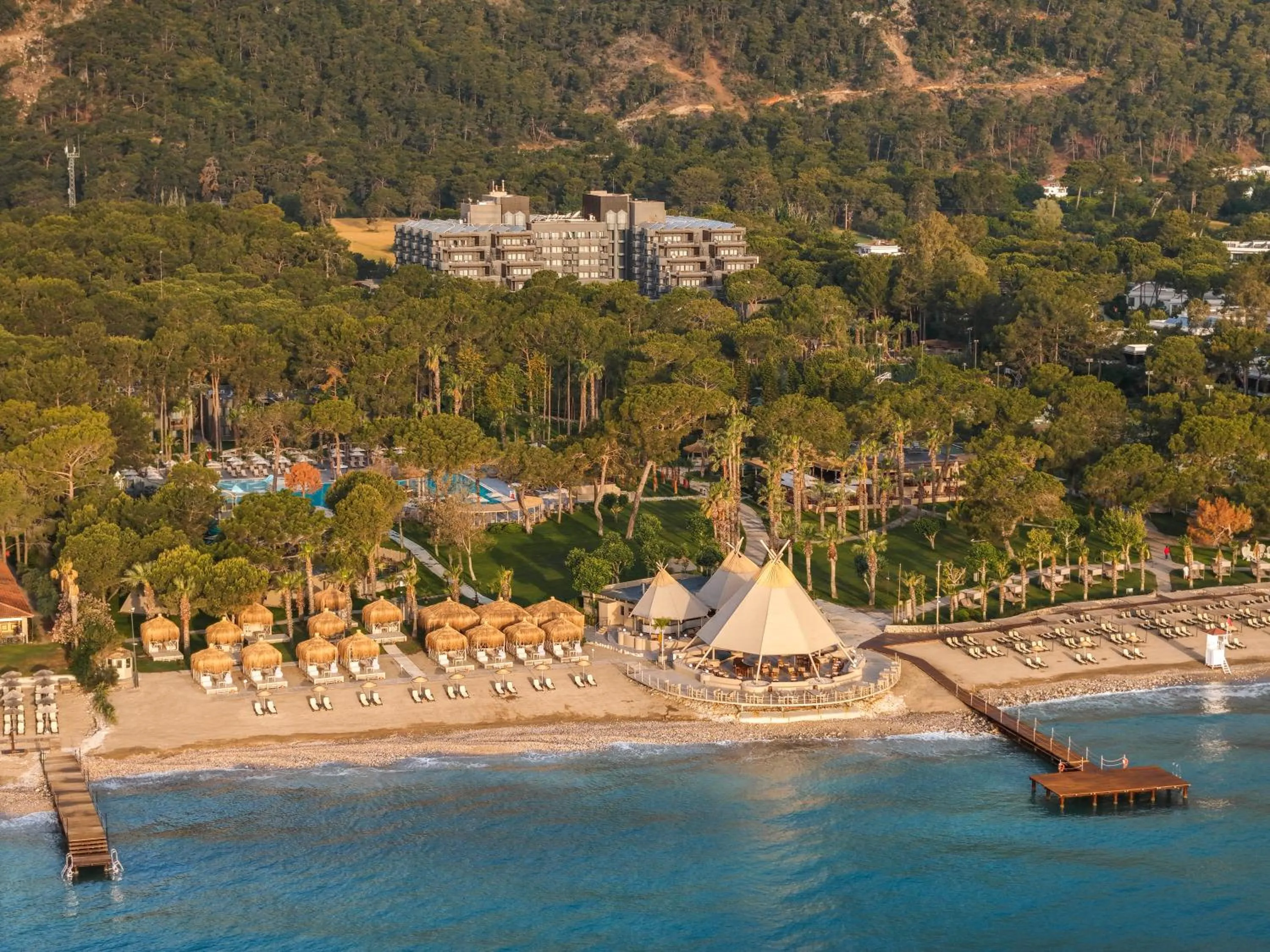 Day in Balmy Foresta