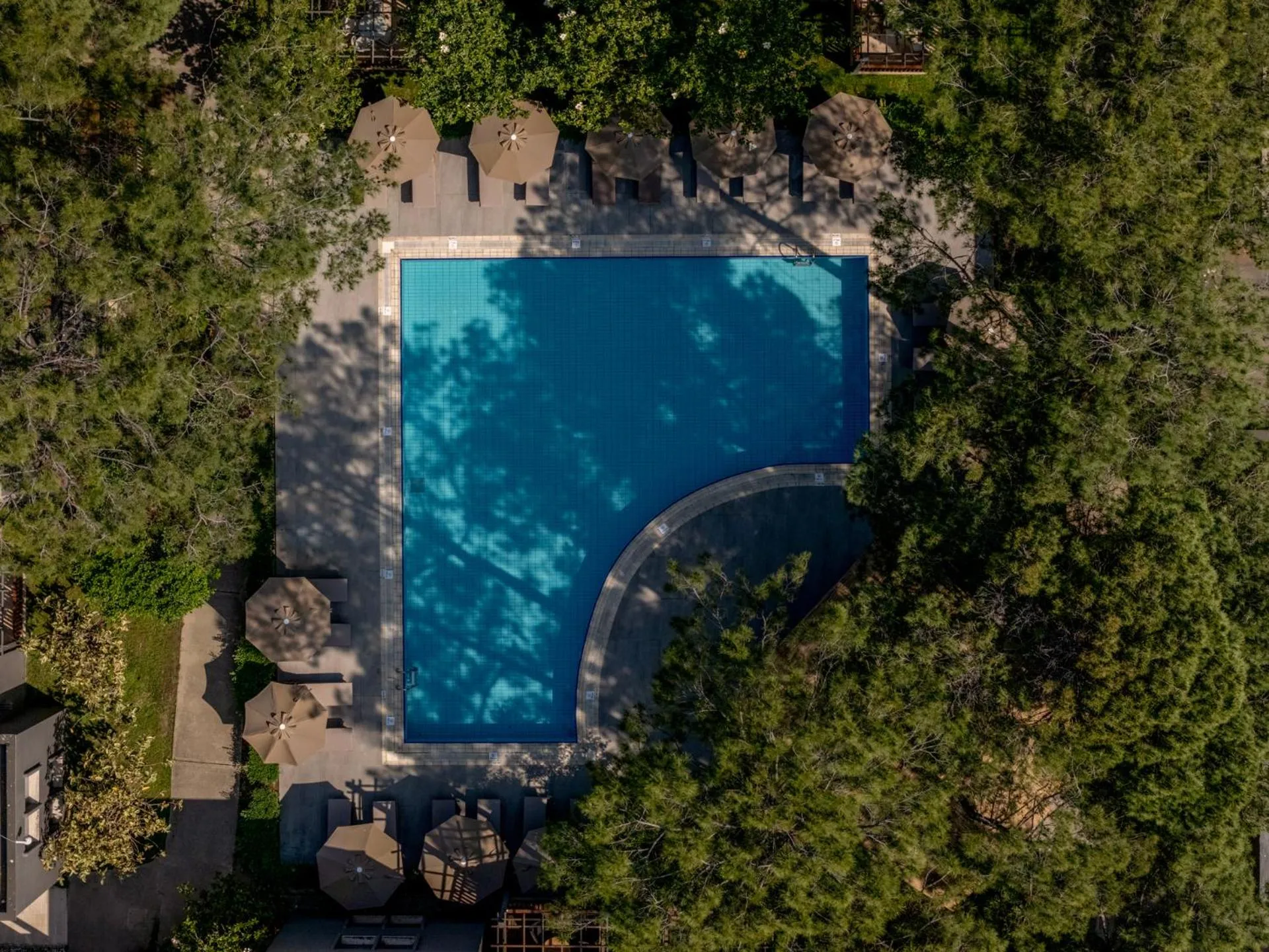 Bird's eye view in Balmy Foresta