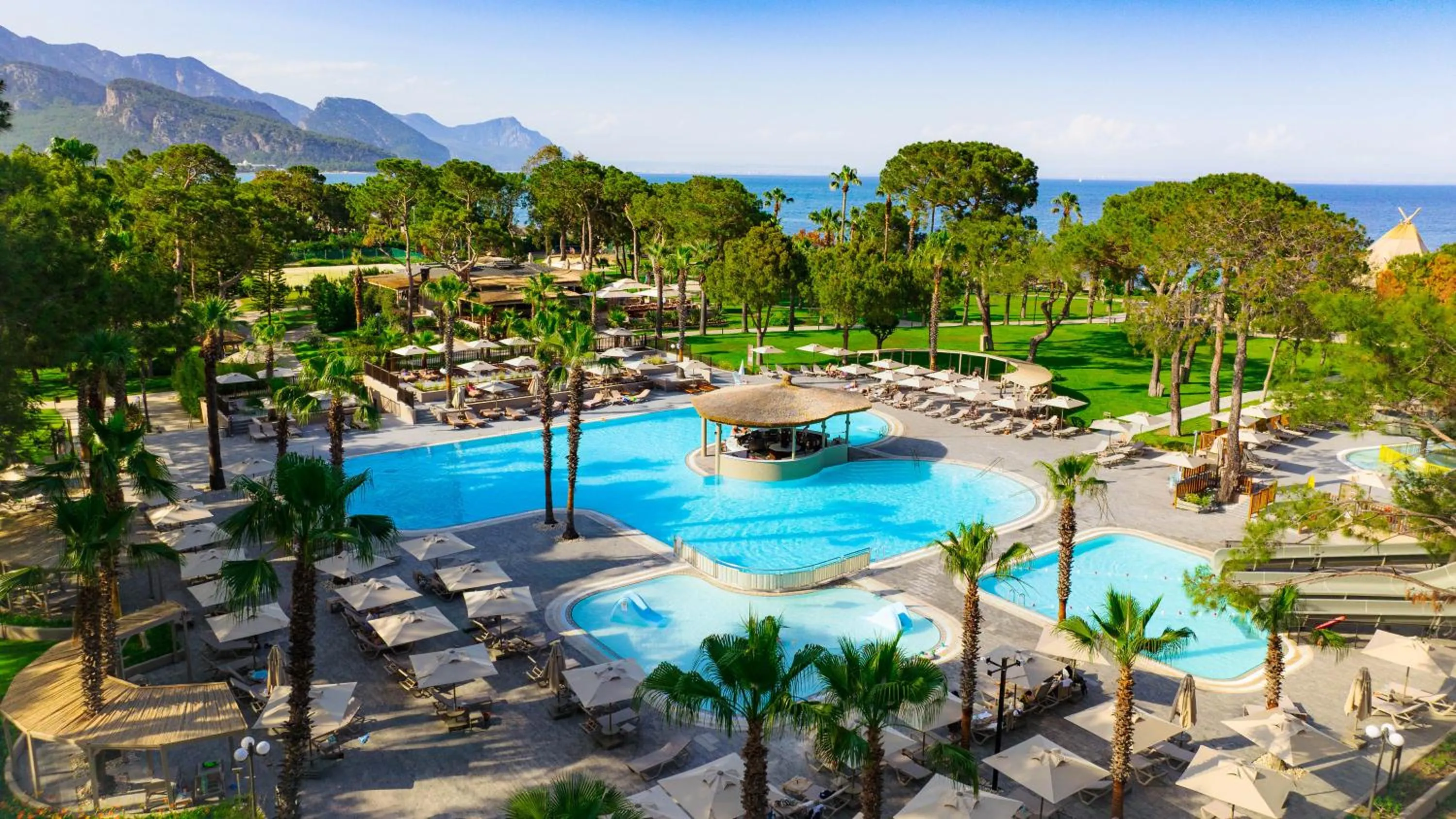 Pool view in Balmy Foresta