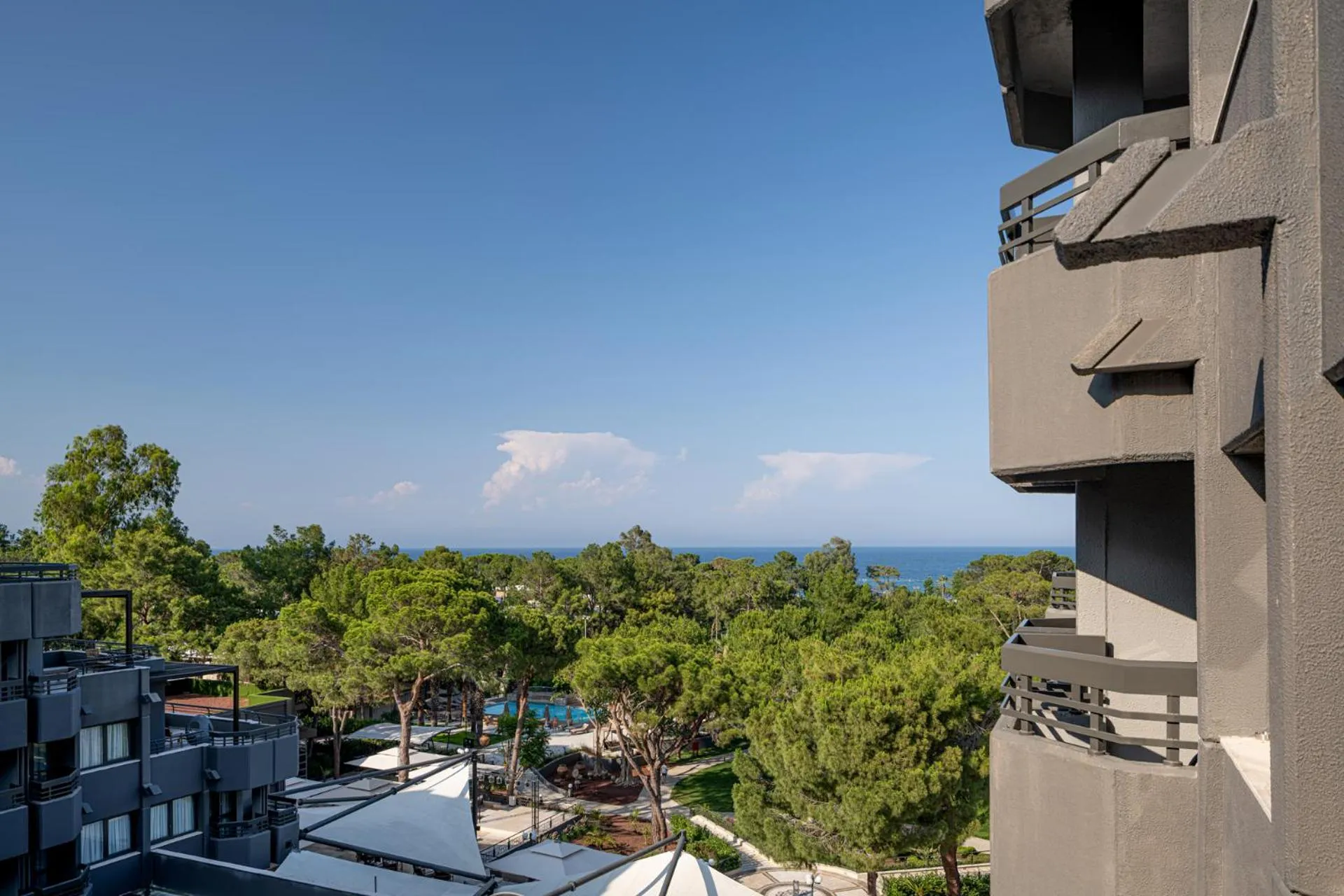 Day in Balmy Foresta