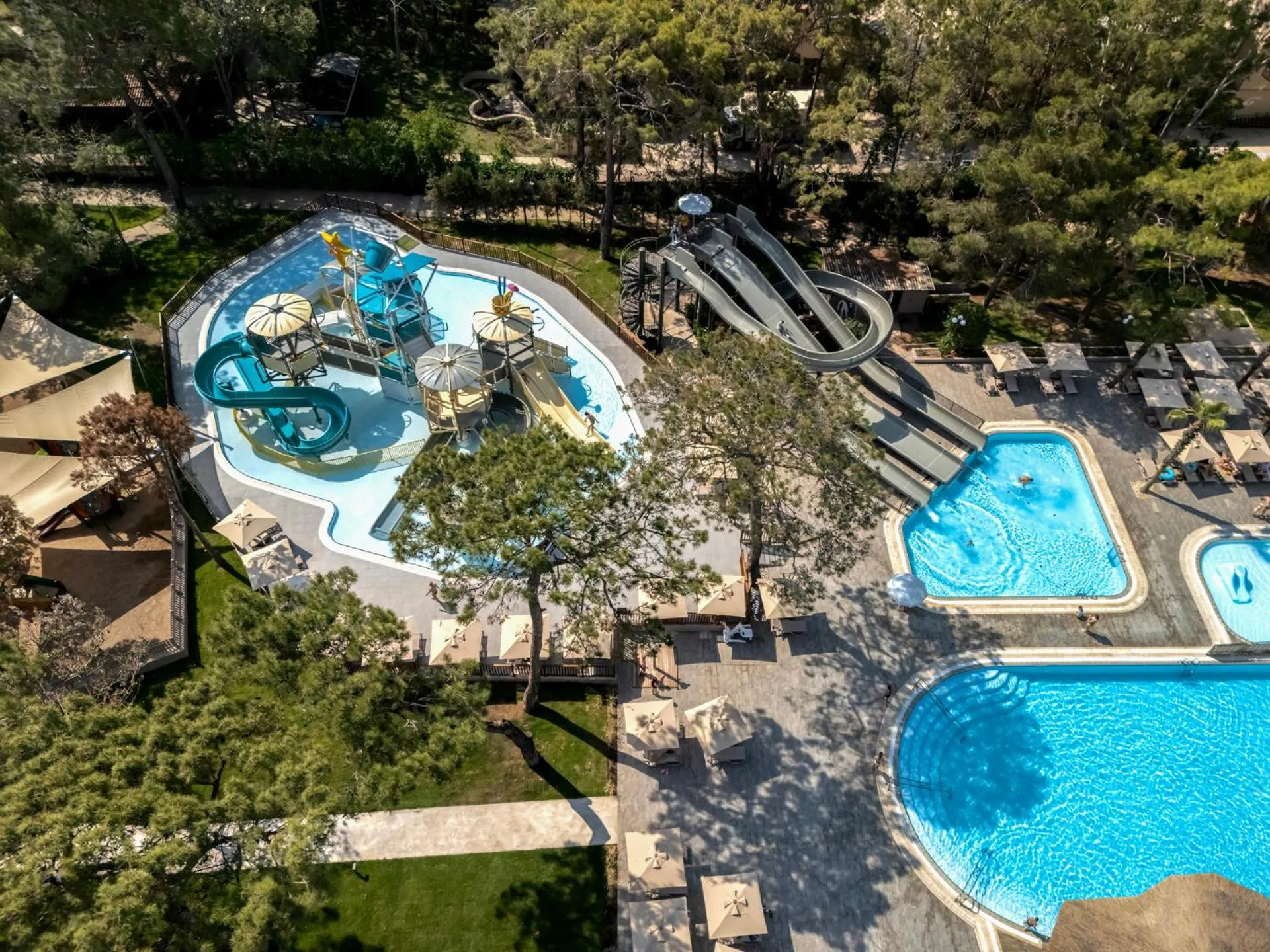 Day in Balmy Foresta