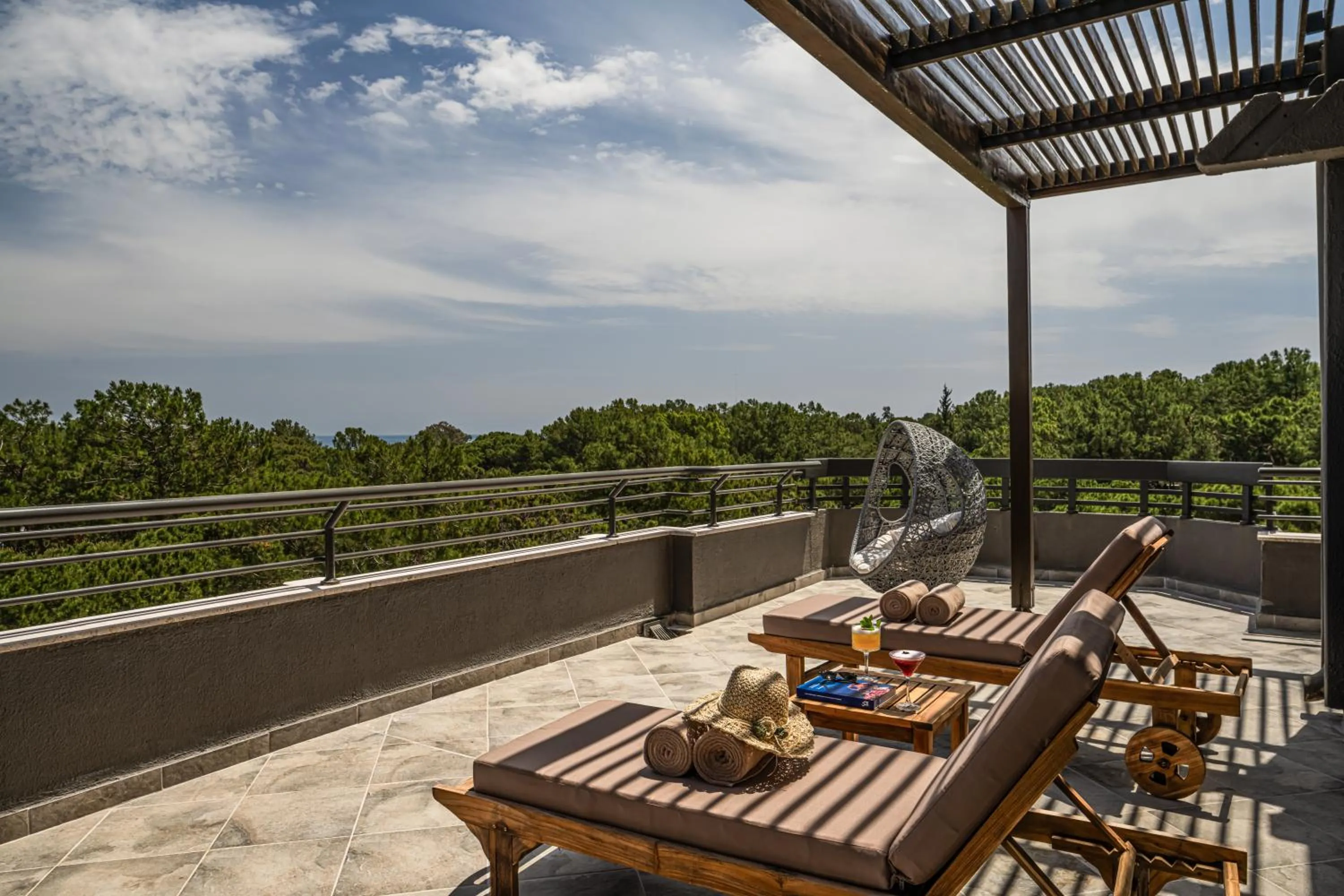 Natural landscape in Balmy Foresta